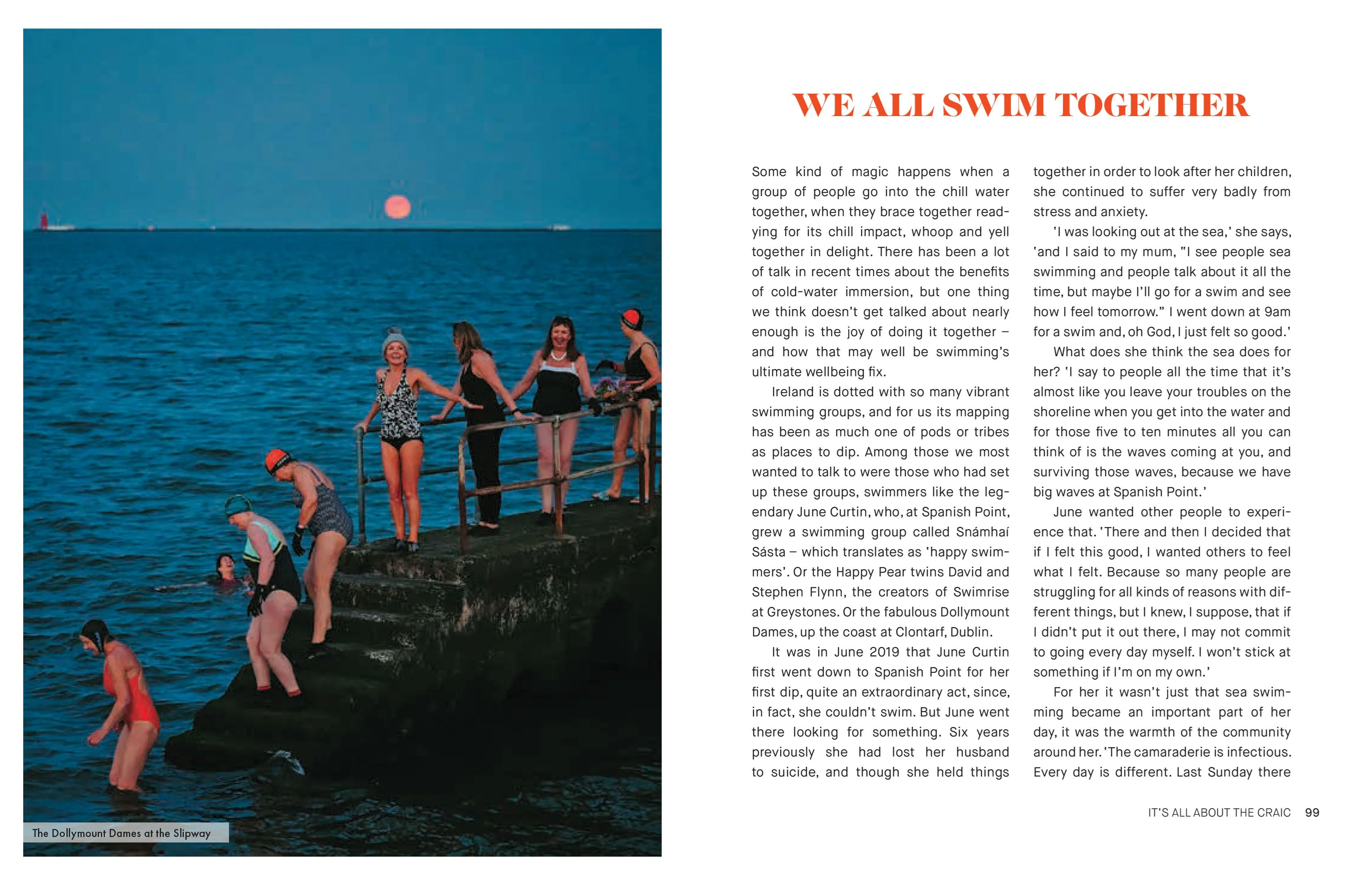 Book - Art Of Wild Swimming: Ireland - Image 4