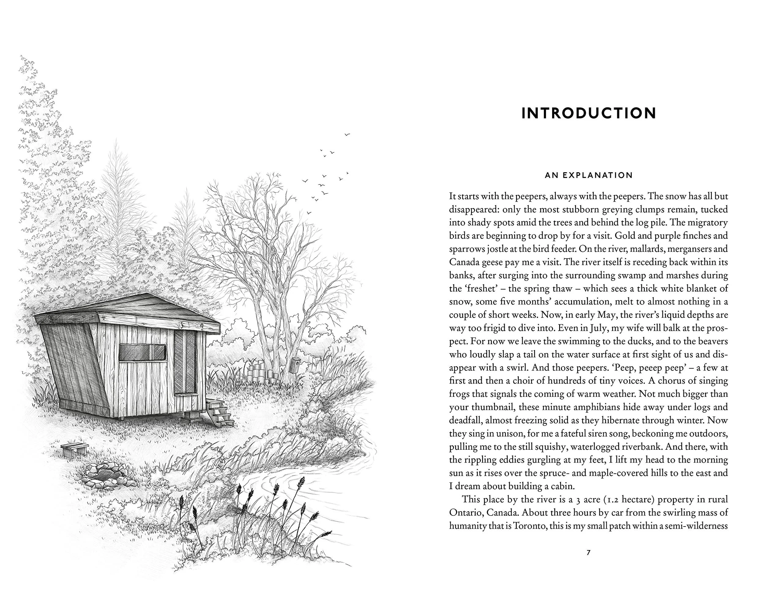 Book - Cabin: How To Build A Retreat/Live With Nature - Image 2