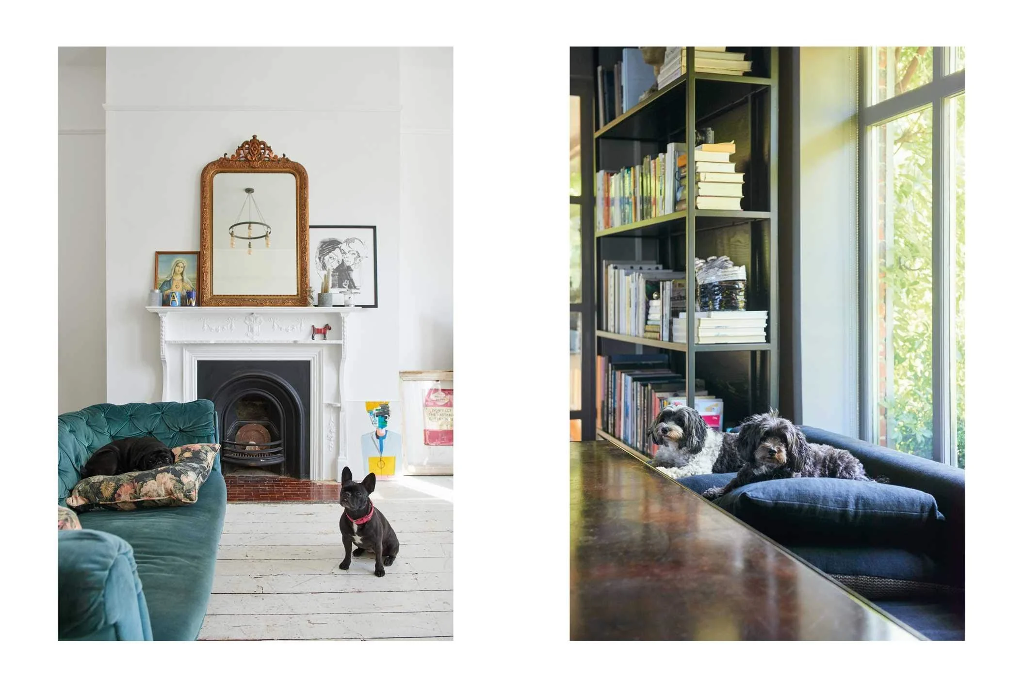 Book - Cool Dogs Cool Home - Image 2
