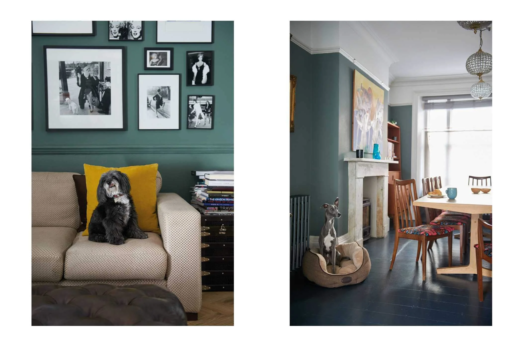 Book - Cool Dogs Cool Home - Image 3