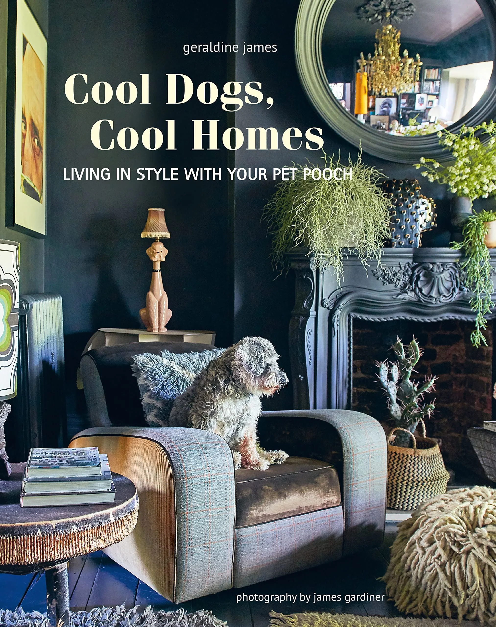 Book - Cool Dogs, Cool Homes