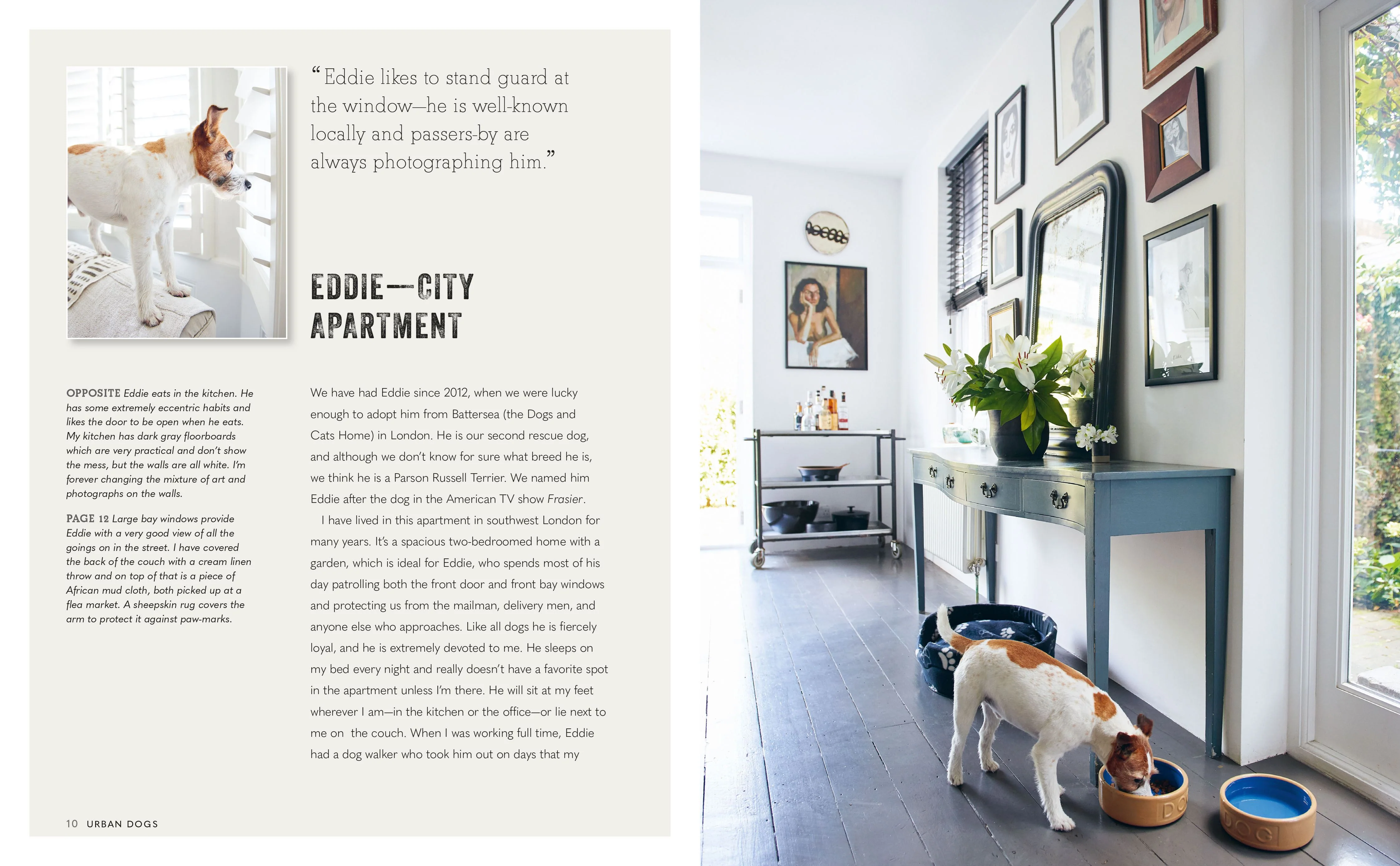 Book - Cool Dogs, Cool Homes - Image 2