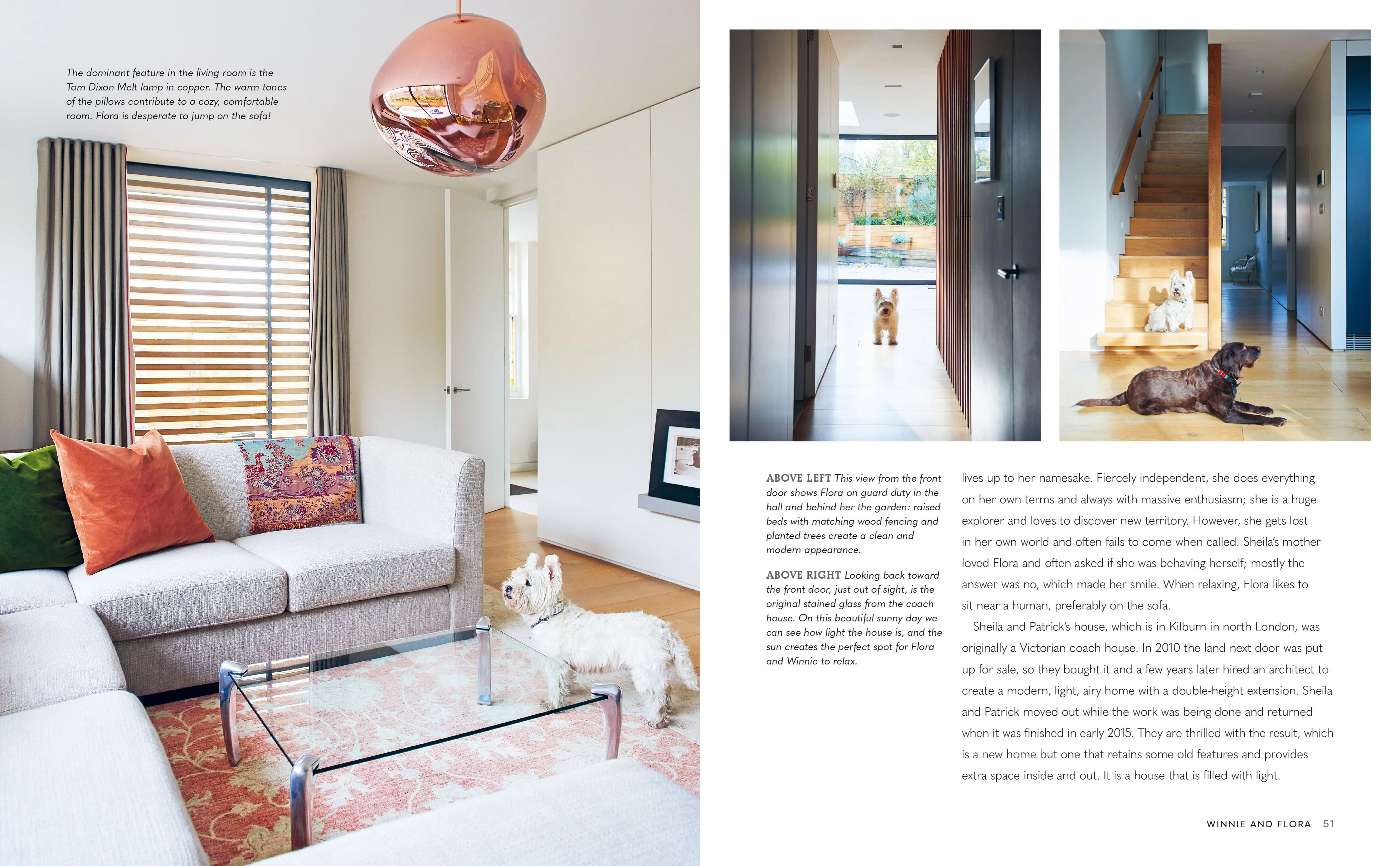 Book - Cool Dogs, Cool Homes - Image 3