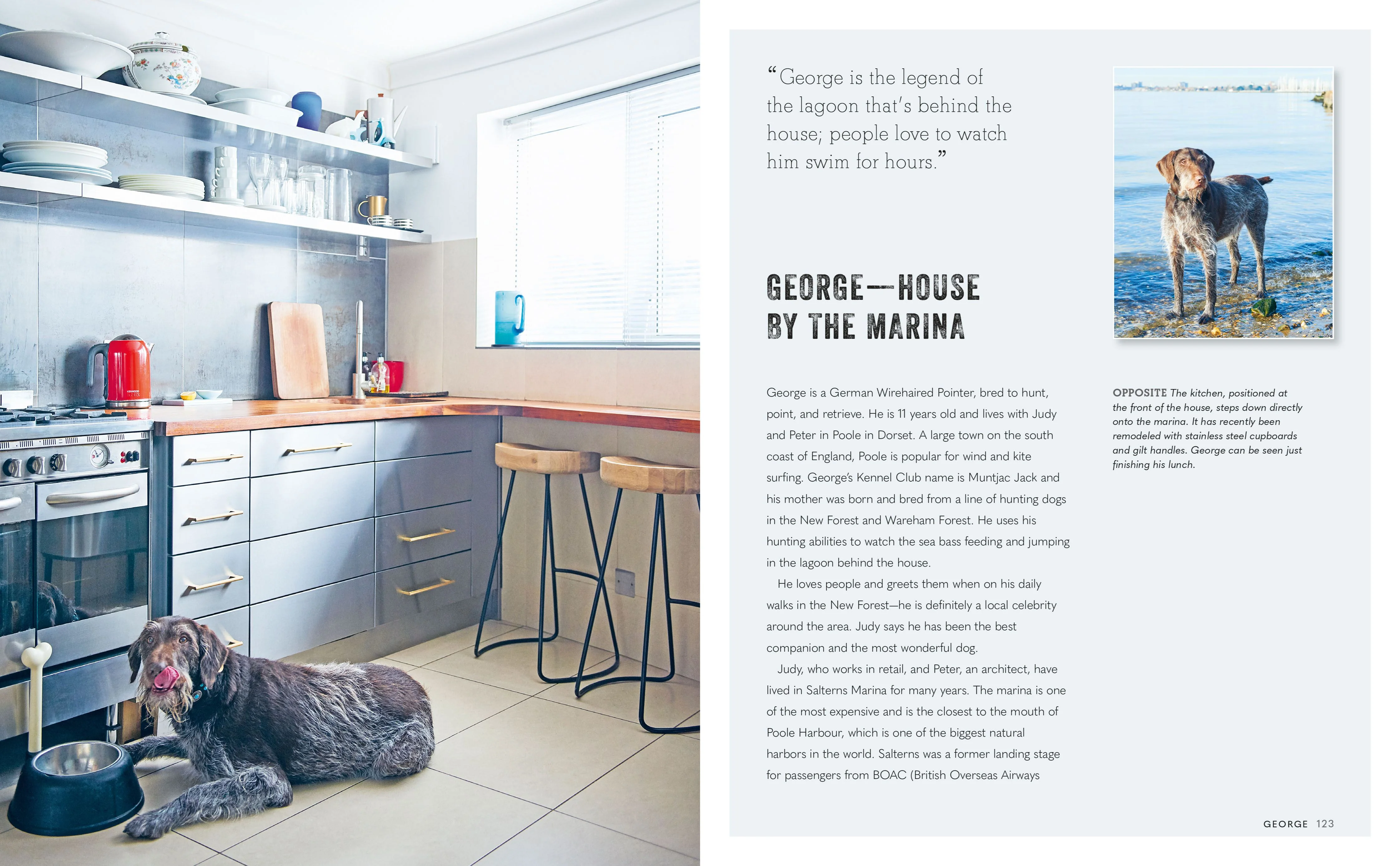 Book - Cool Dogs, Cool Homes - Image 4