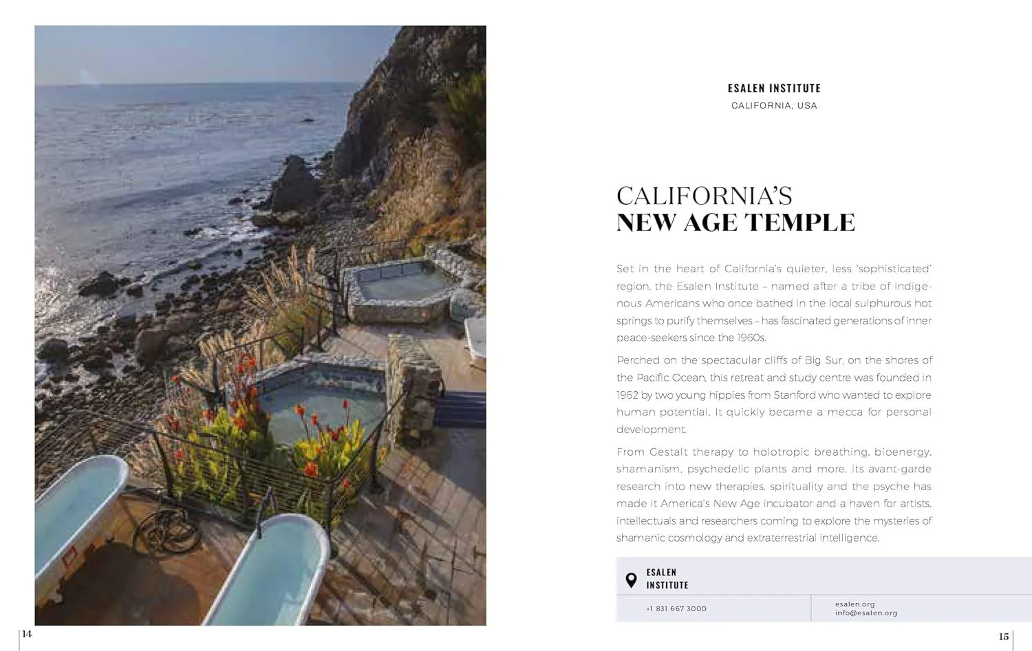 Book - Destination Wellness - Image 3