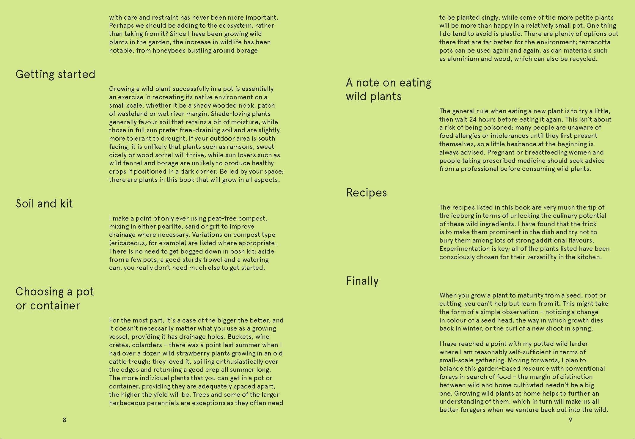 Book - Flowerpot Forager - Image 2