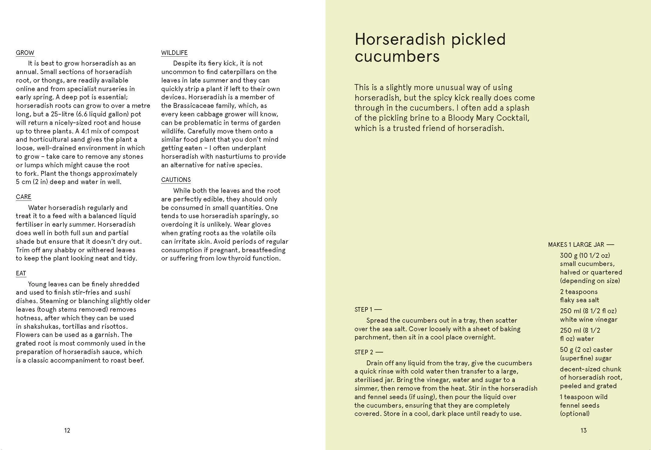 Book - Flowerpot Forager - Image 4