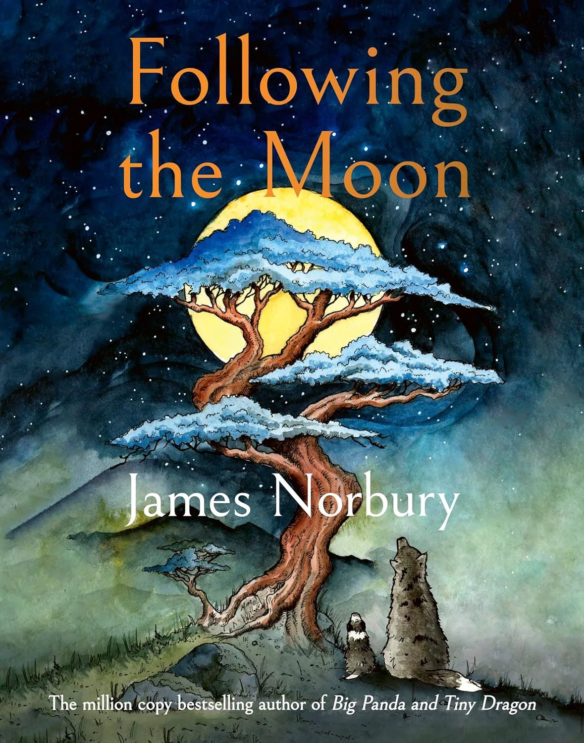 Book - Following The Moon