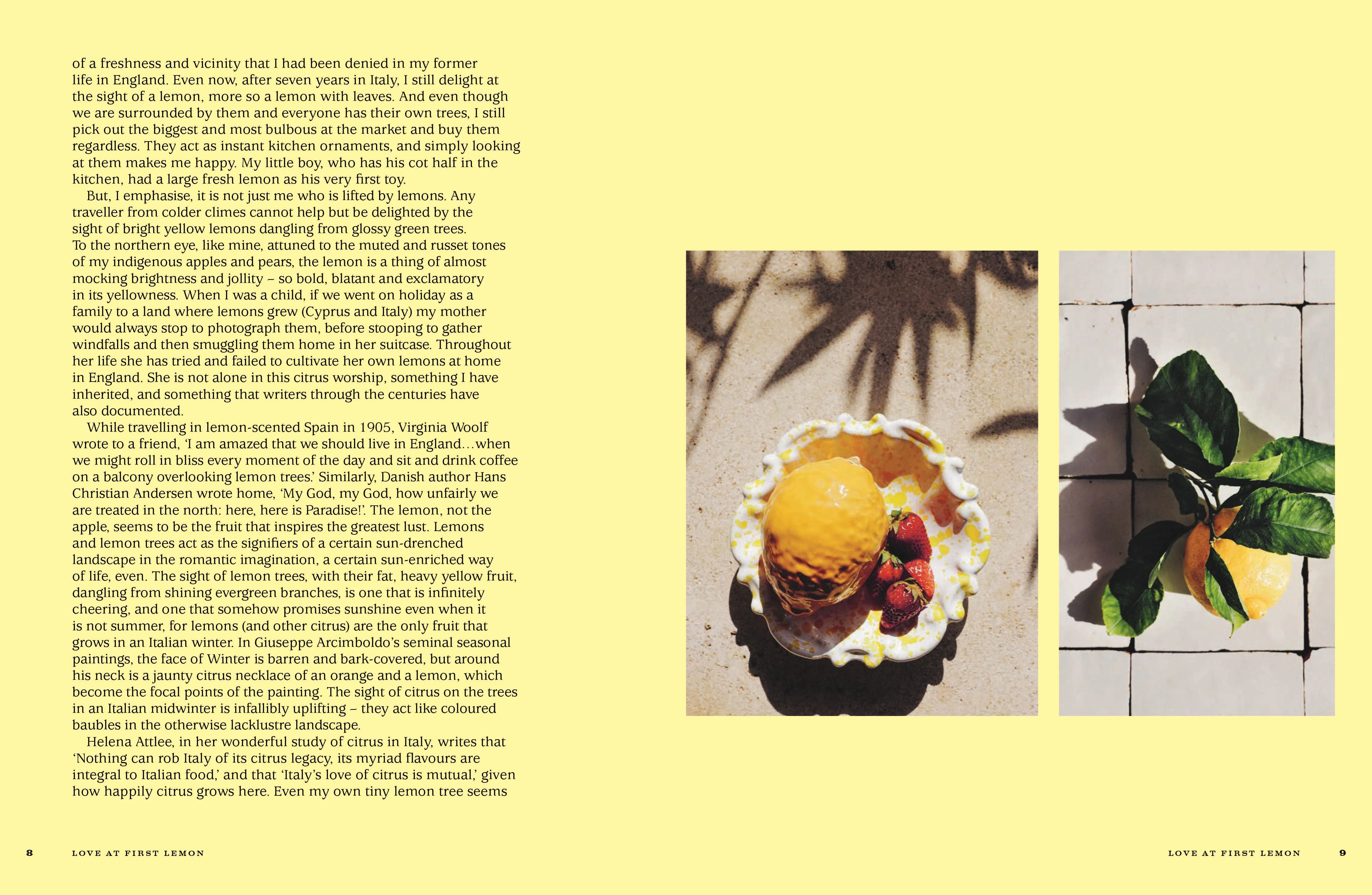 Book - For The Love Of Lemons: Italian Inspired Sweet/Savoury - Image 2