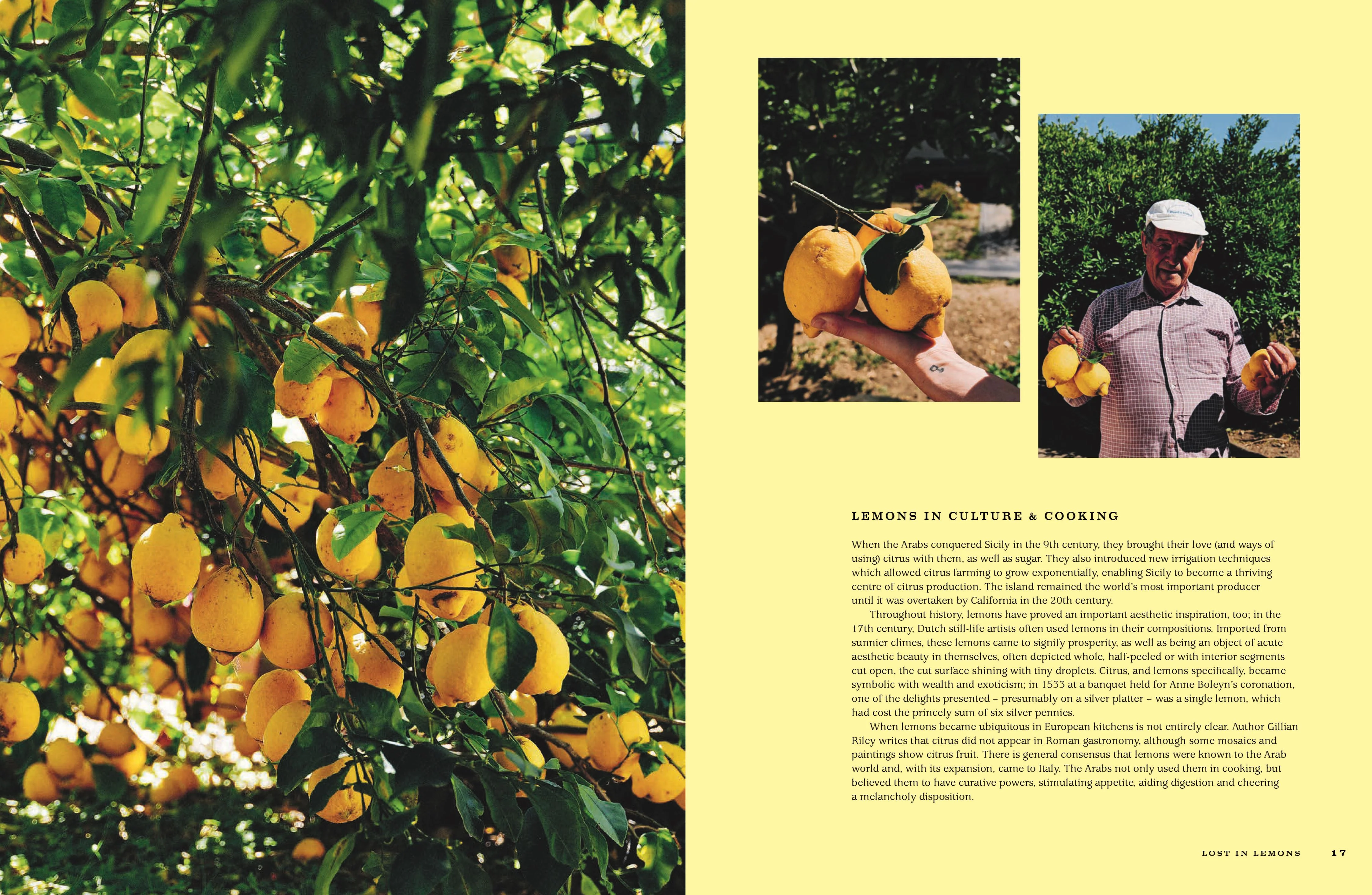 Book - For The Love Of Lemons: Italian Inspired Sweet/Savoury - Image 3