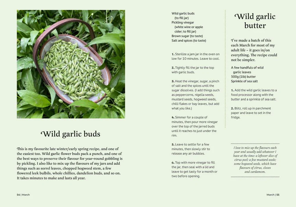 Book - Foragers Almanac - Image 5