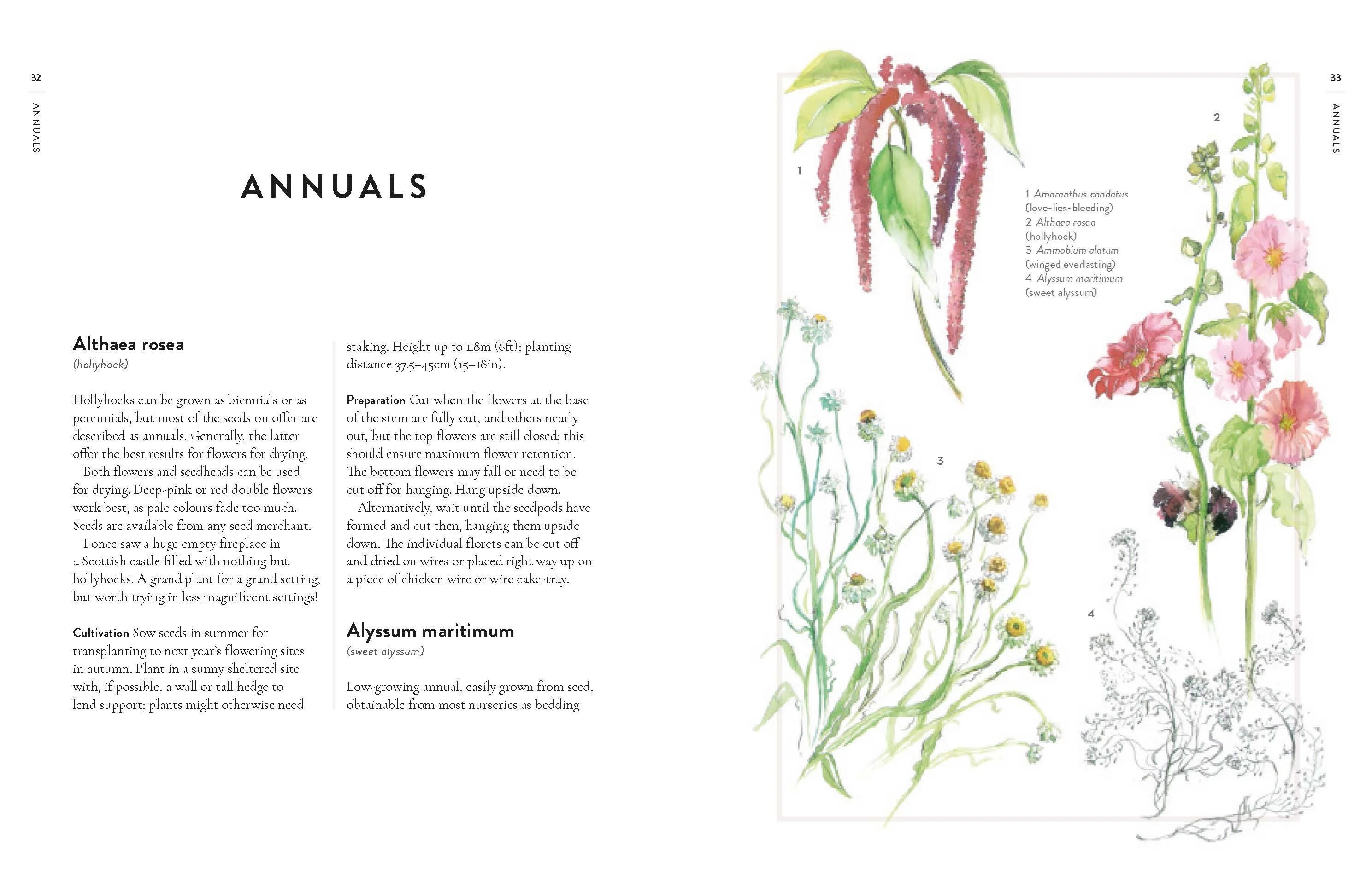 Book - Forever Flowers - Image 2