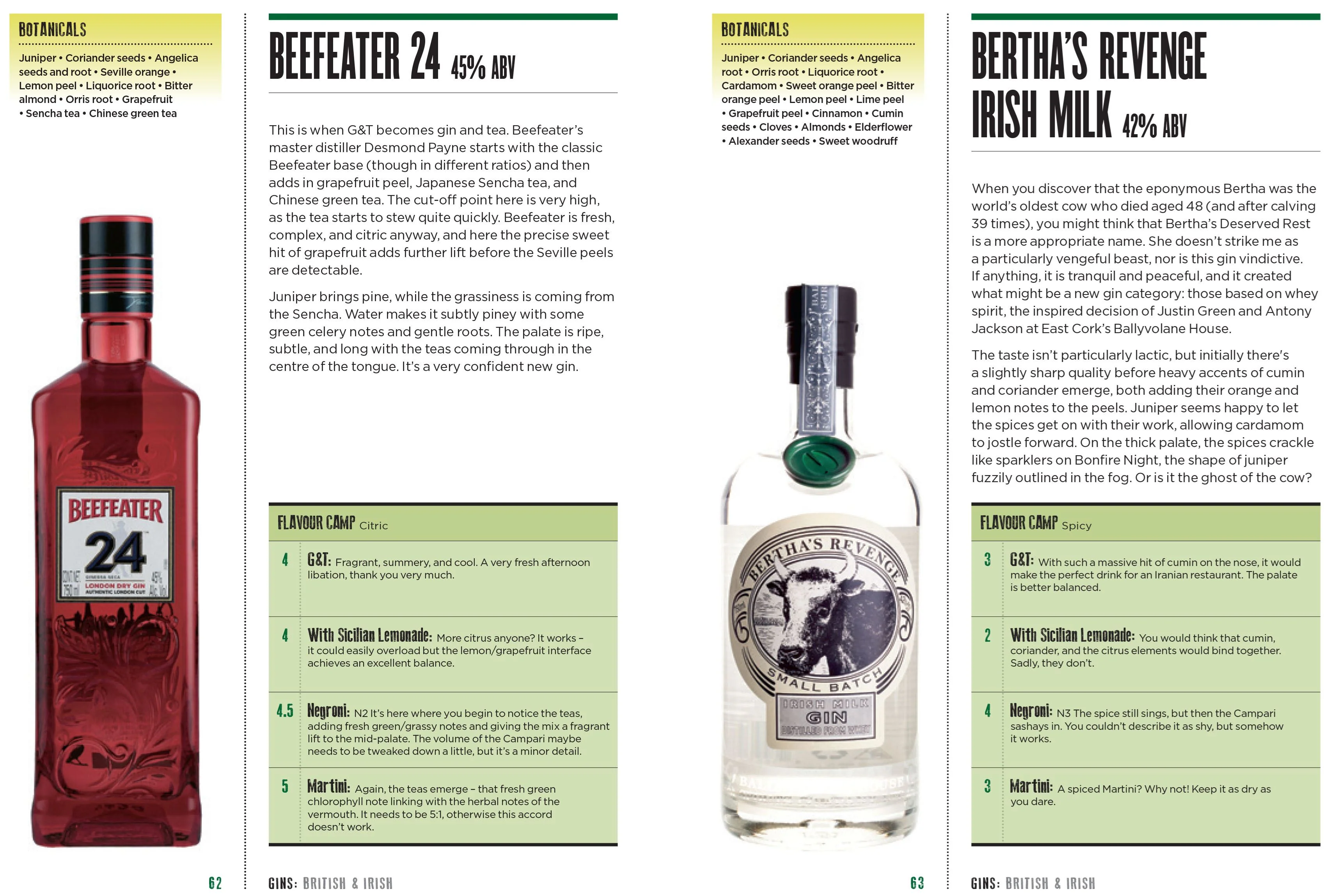 Book - Gin: How To Drink It - Image 2