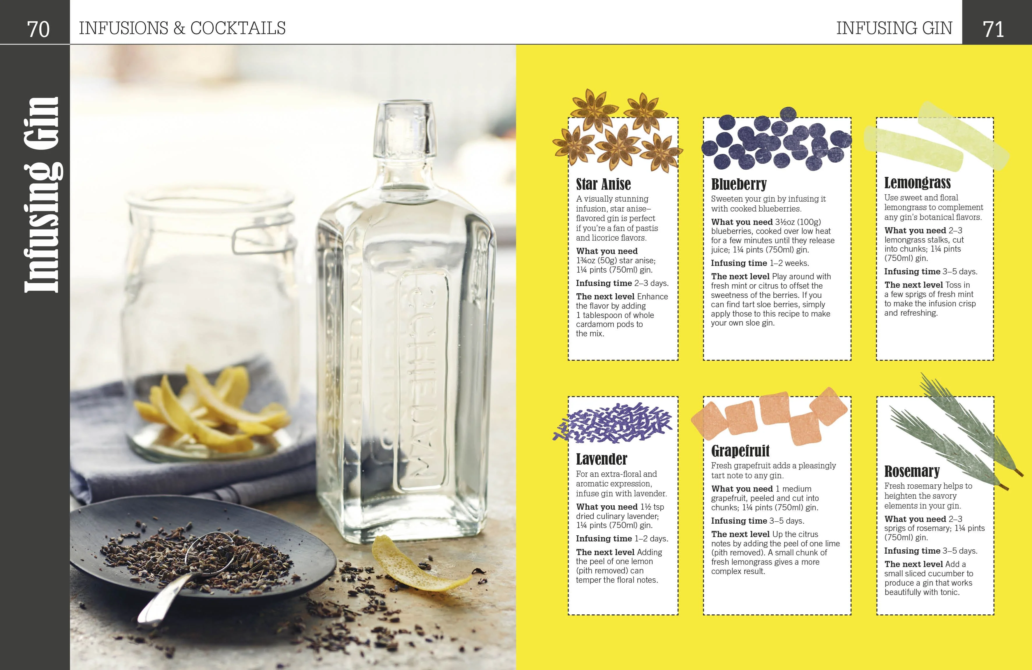 Book - Ginspiration - Image 4
