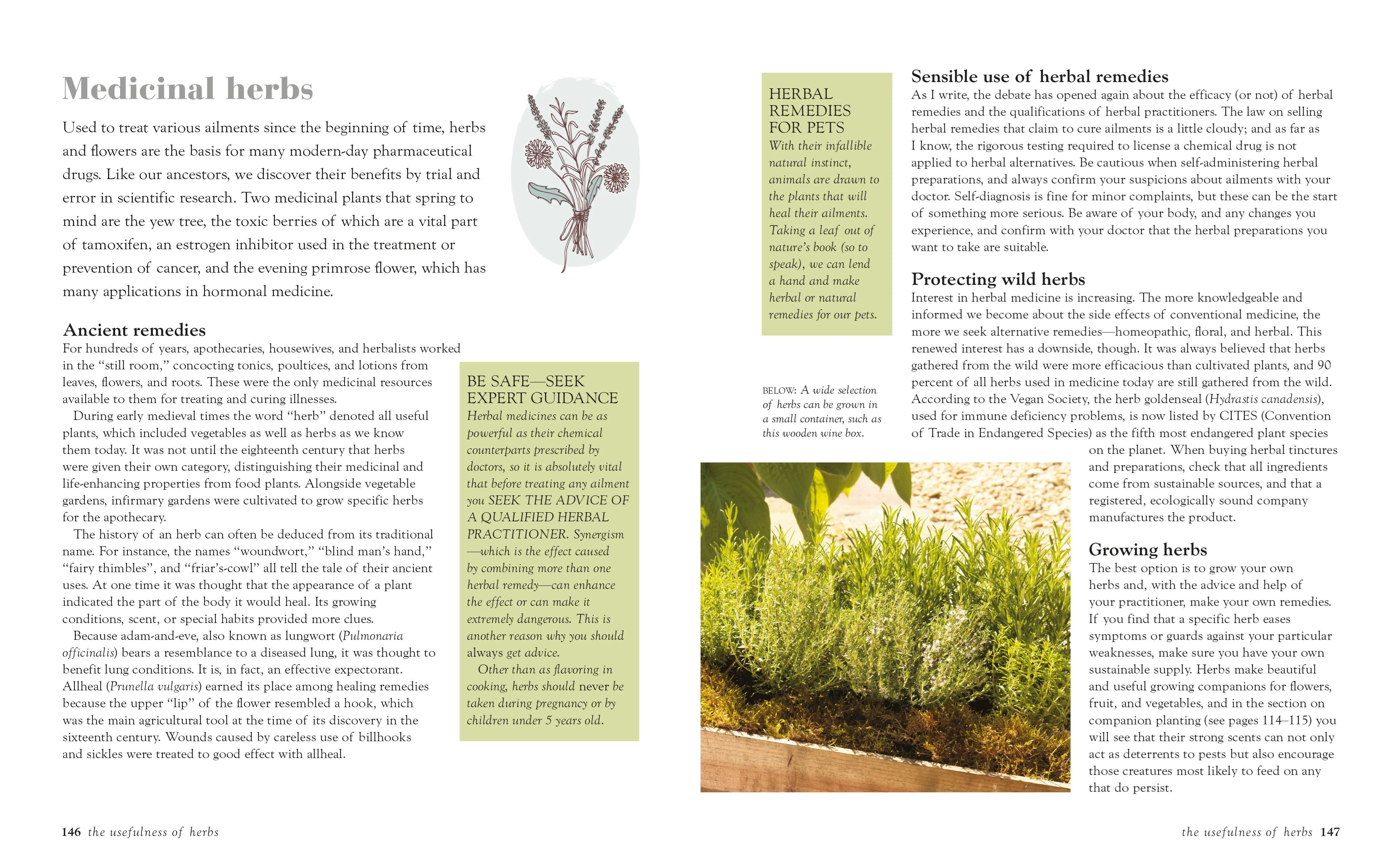 Book - Green Housekeeping - Image 2