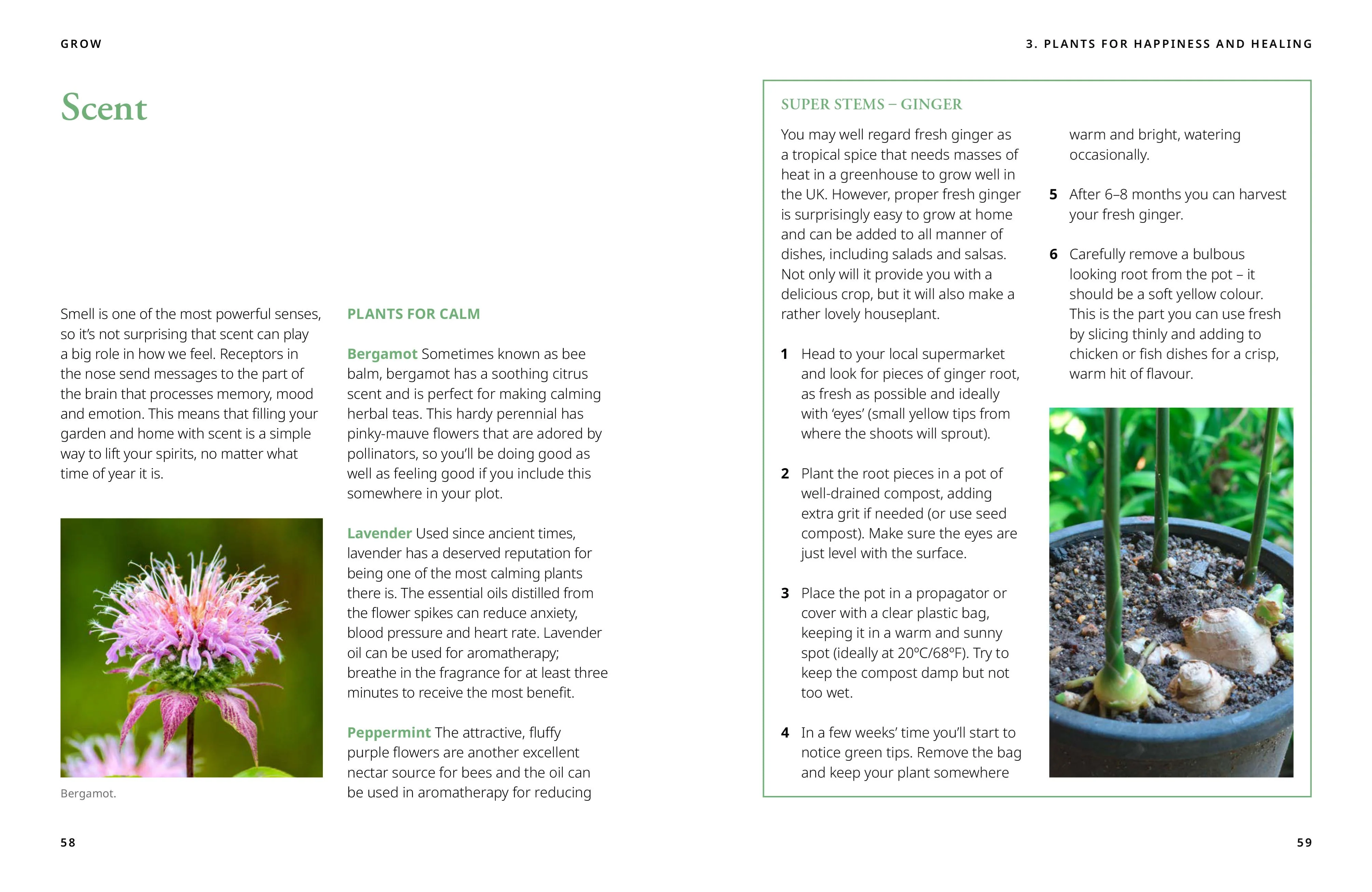 Book - Grow: Fill Your World With Plants - Image 5