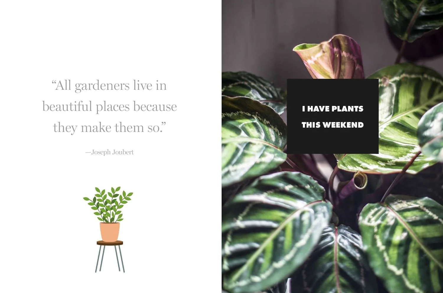 Book - Happy Houseplants - Image 4