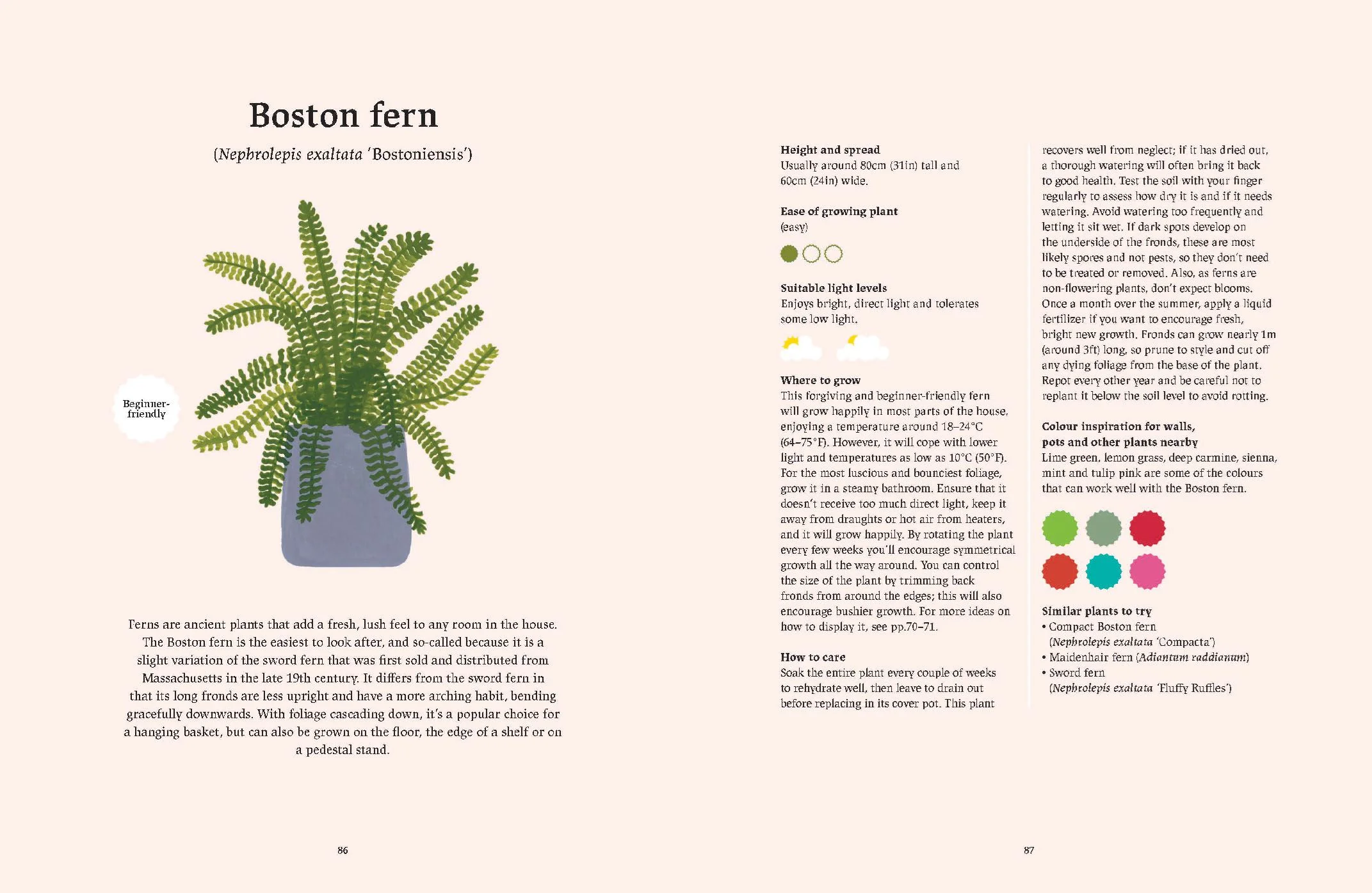 Book - Happy Indoor Garden - Image 4
