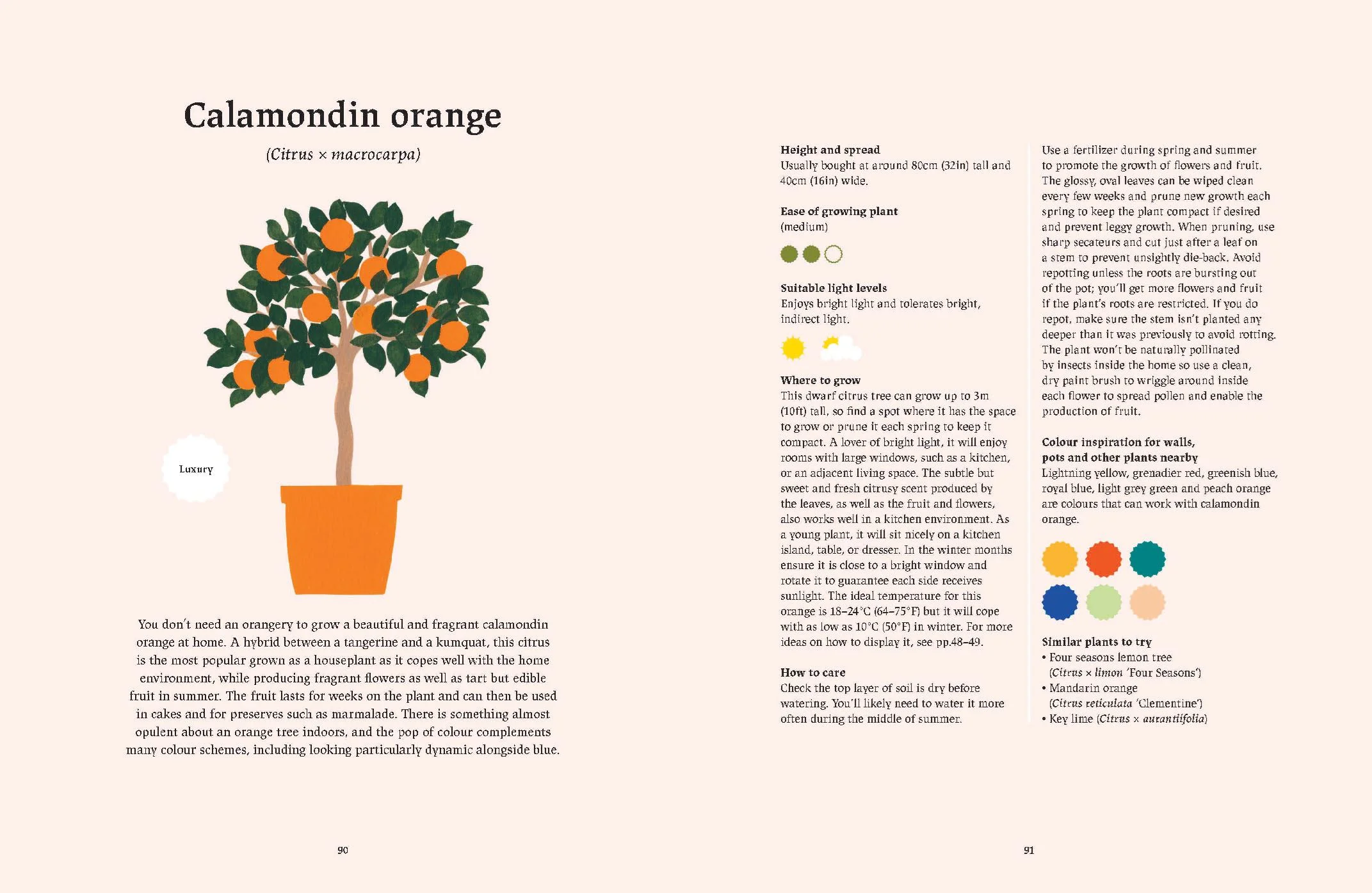 Book - Happy Indoor Garden - Image 5