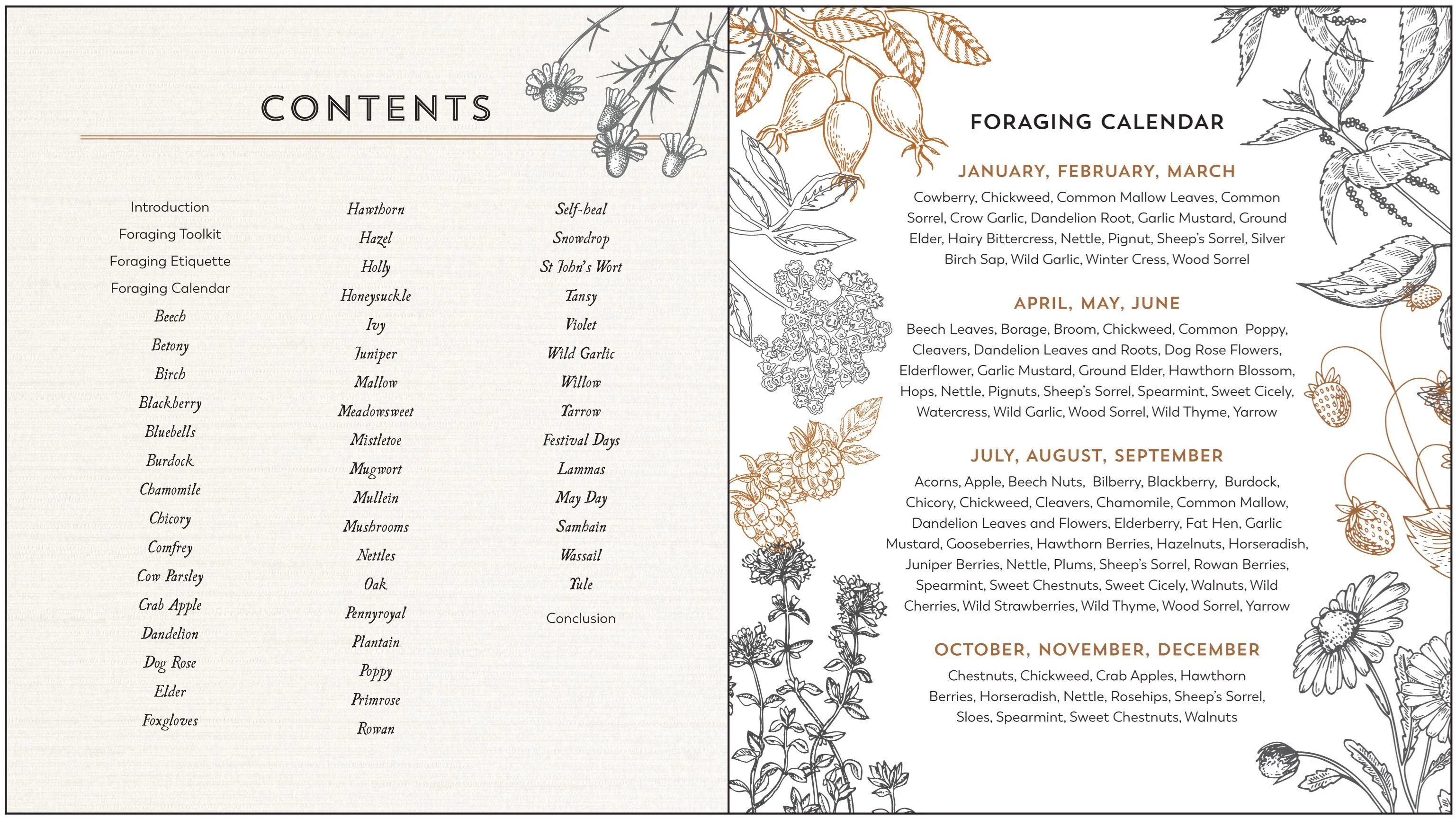 Book - Hedgerow Apothecary - Image 2
