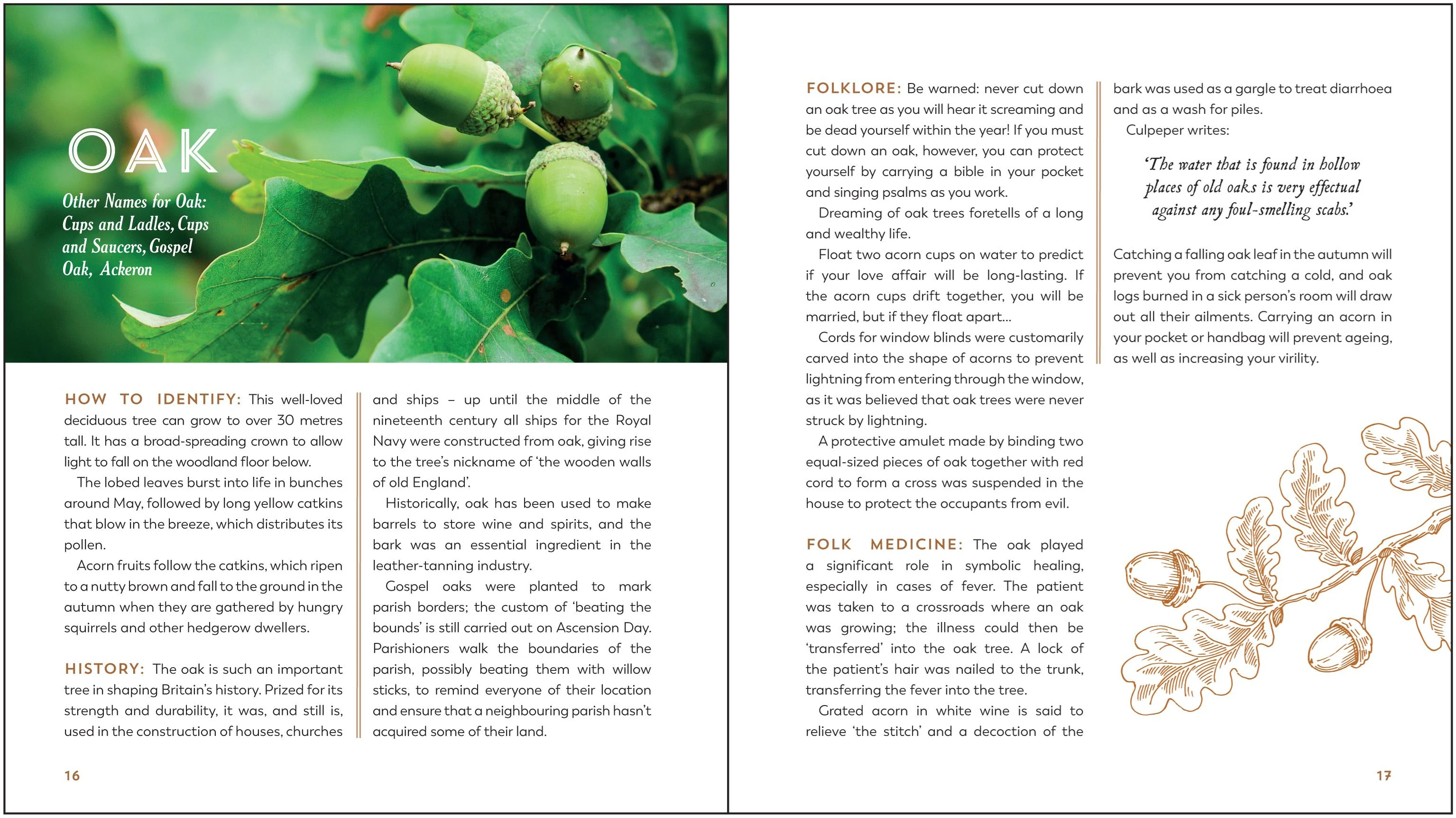 Book - Hedgerow Apothecary - Image 4