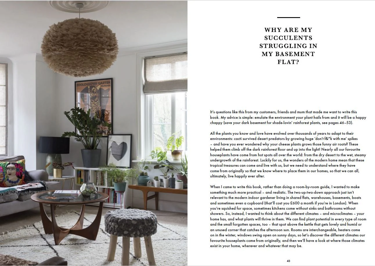 Book - How Not to Kill your Plants - Image 2