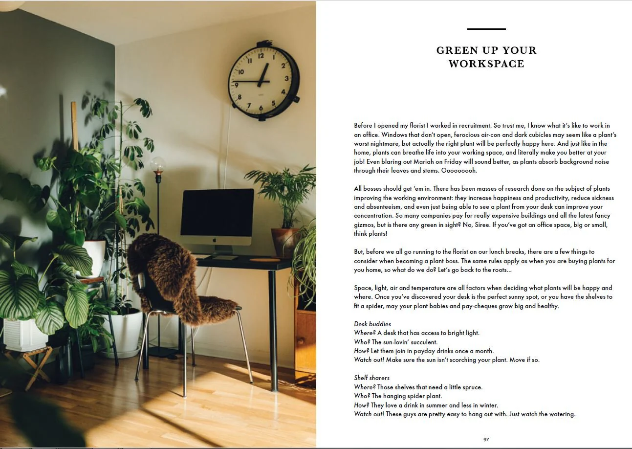 Book - How Not to Kill your Plants - Image 3