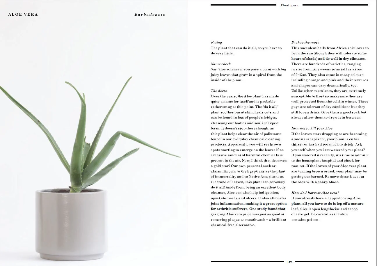 Book - How Not to Kill your Plants - Image 4