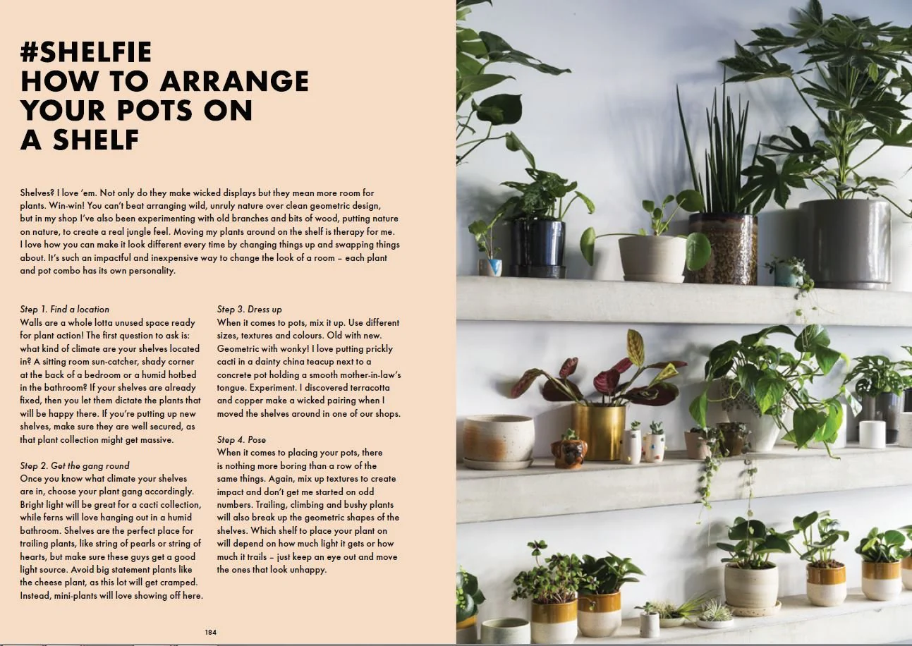 Book - How Not to Kill your Plants - Image 6