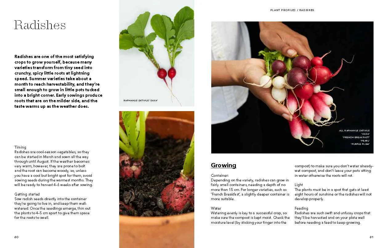 Book - How To Grow Your Dinner Without Leaving The House - Image 3