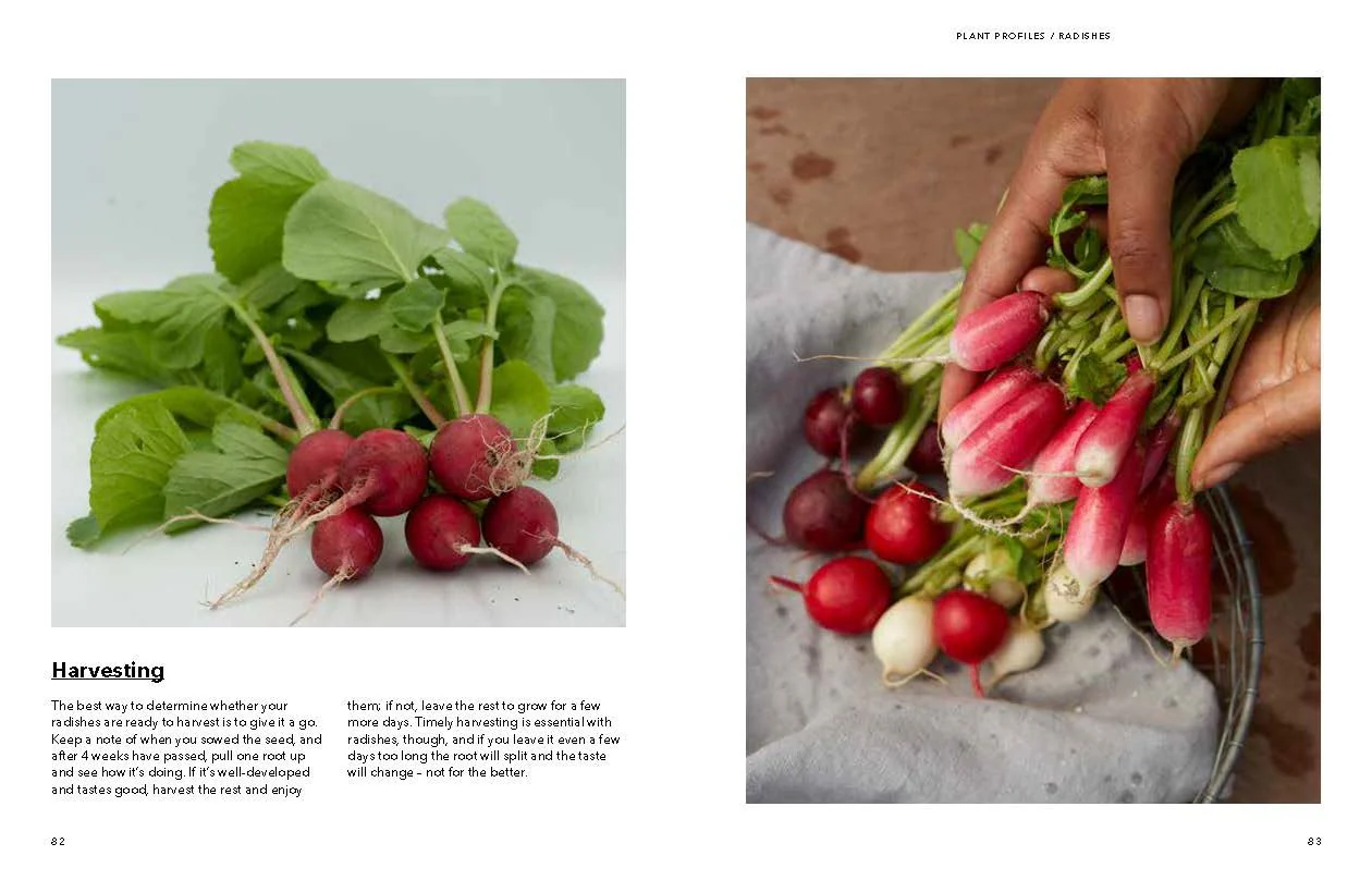 Book - How To Grow Your Dinner Without Leaving The House - Image 4