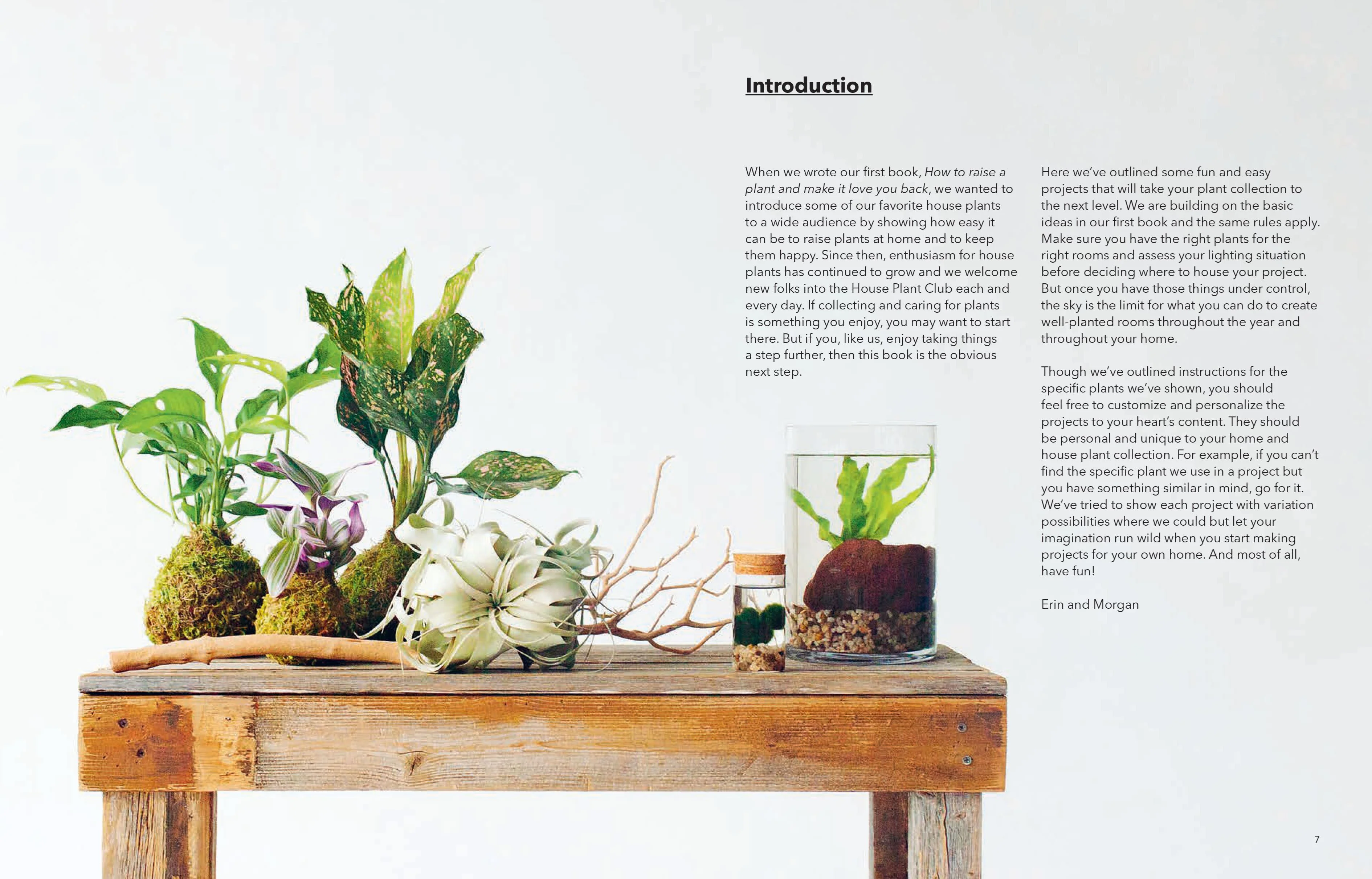 Book - How To Plant A Room And Grow A Happy Home - Image 2