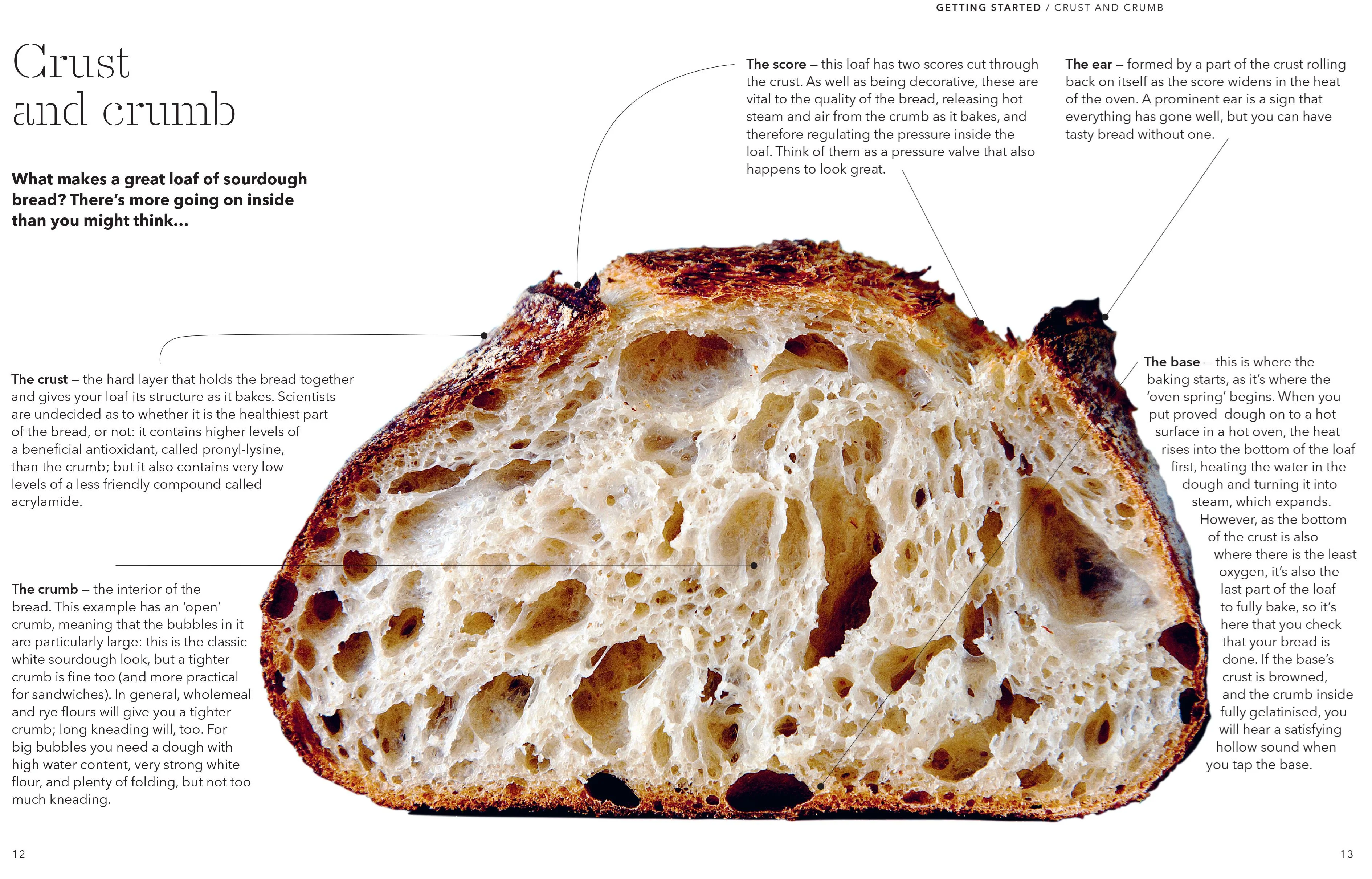 Book - How To Raise A Loaf And Fall In Love With Sourdough - Image 3