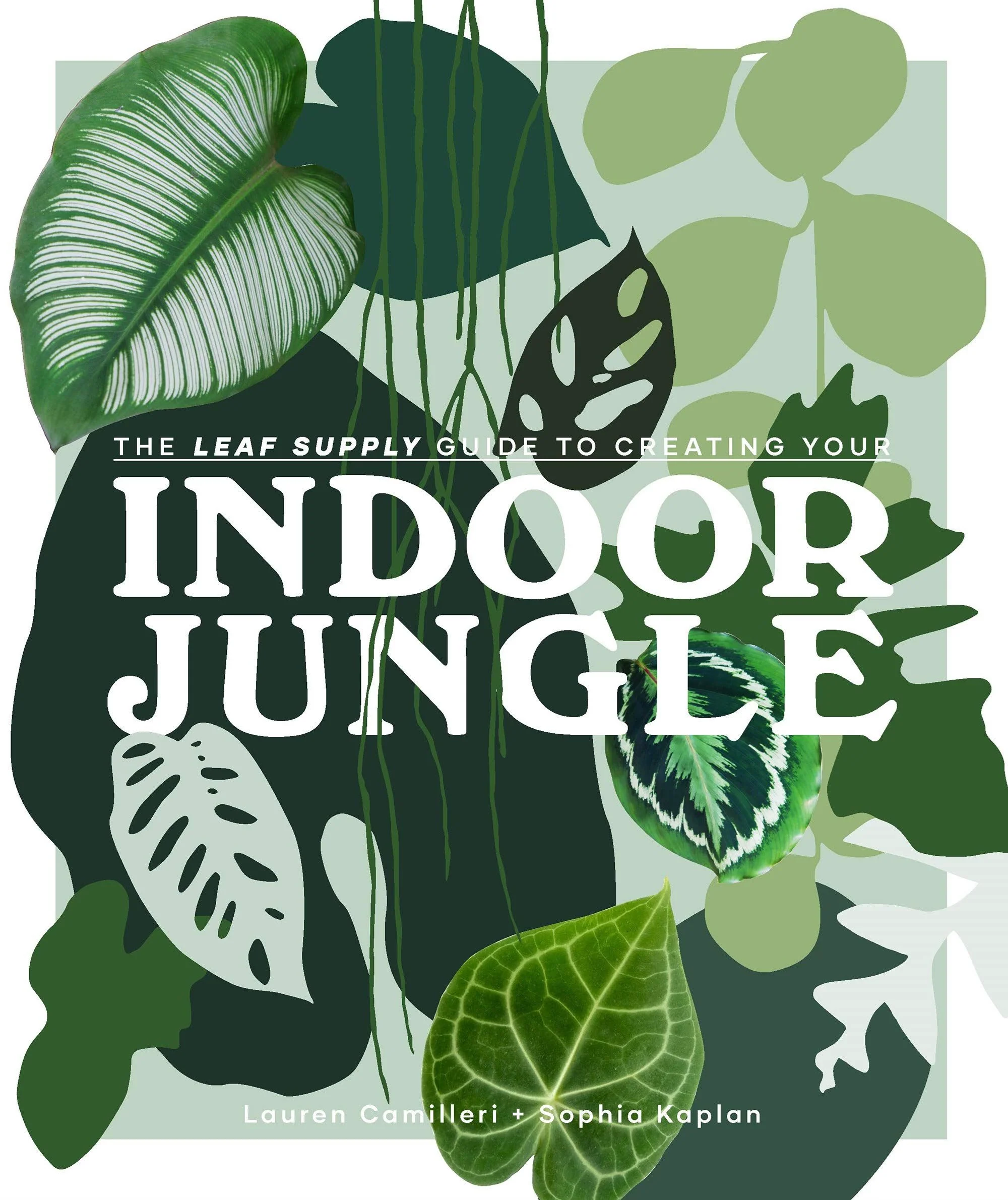 Book - Indoor Jungle