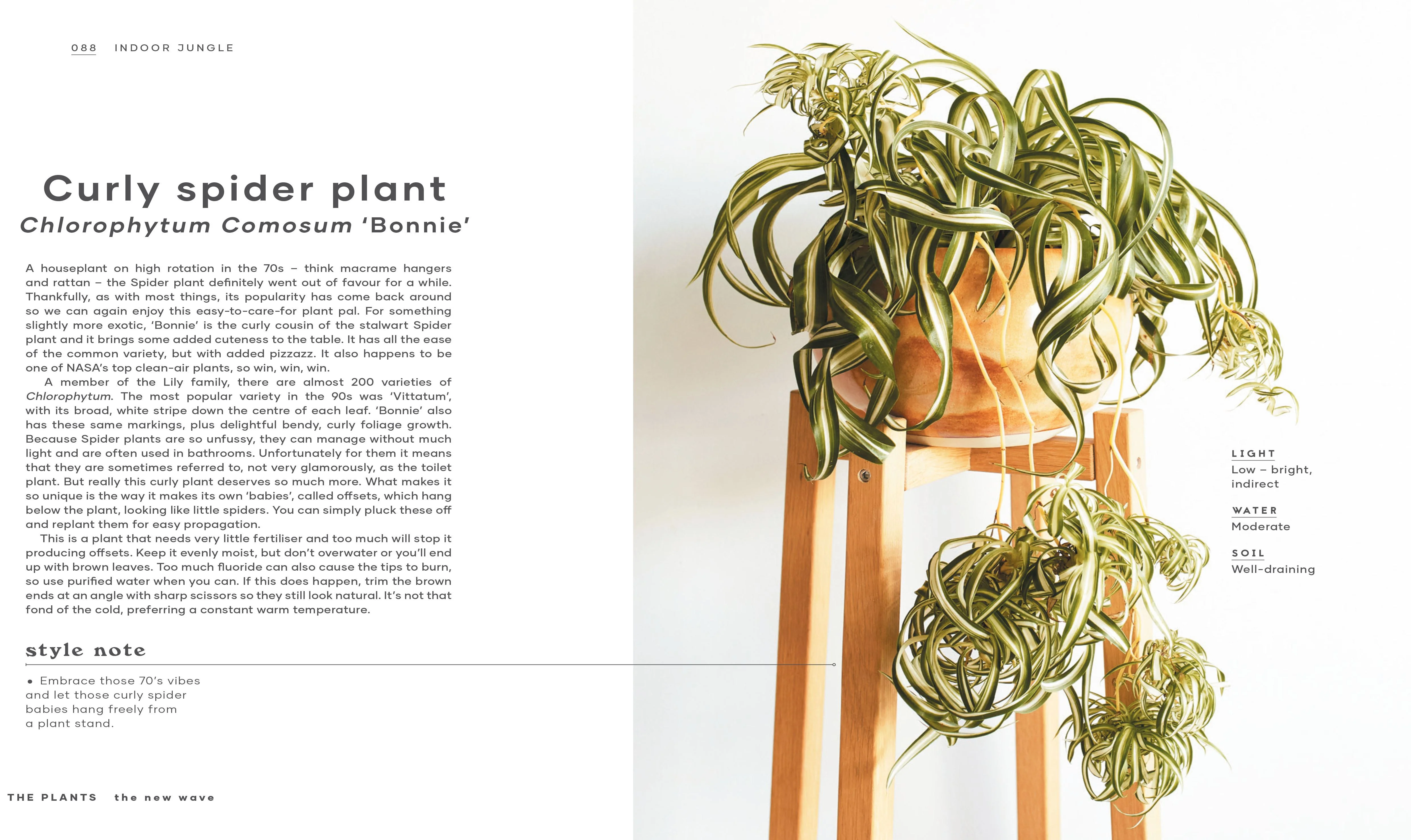 Book - Indoor Jungle - Image 3
