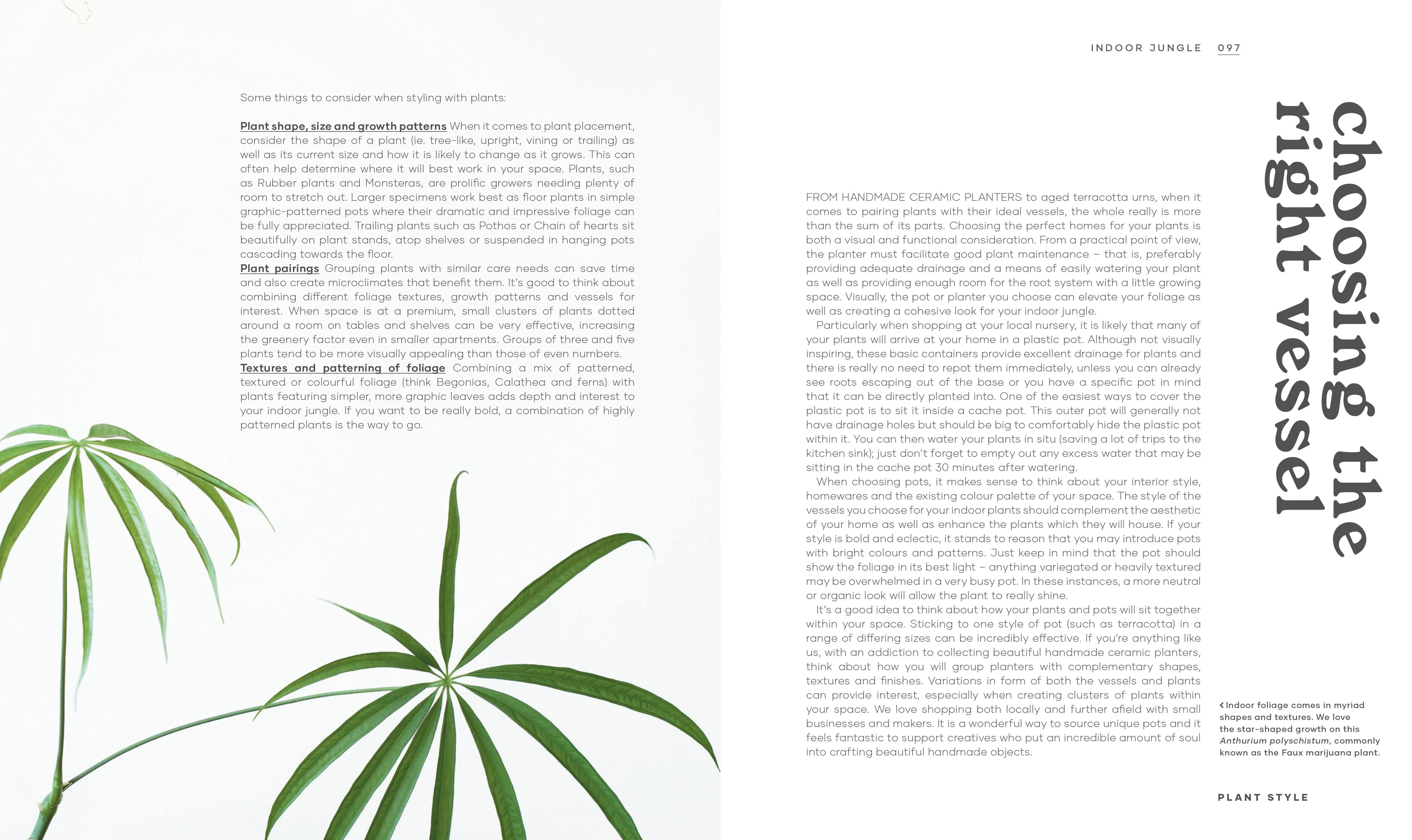 Book - Indoor Jungle - Image 4