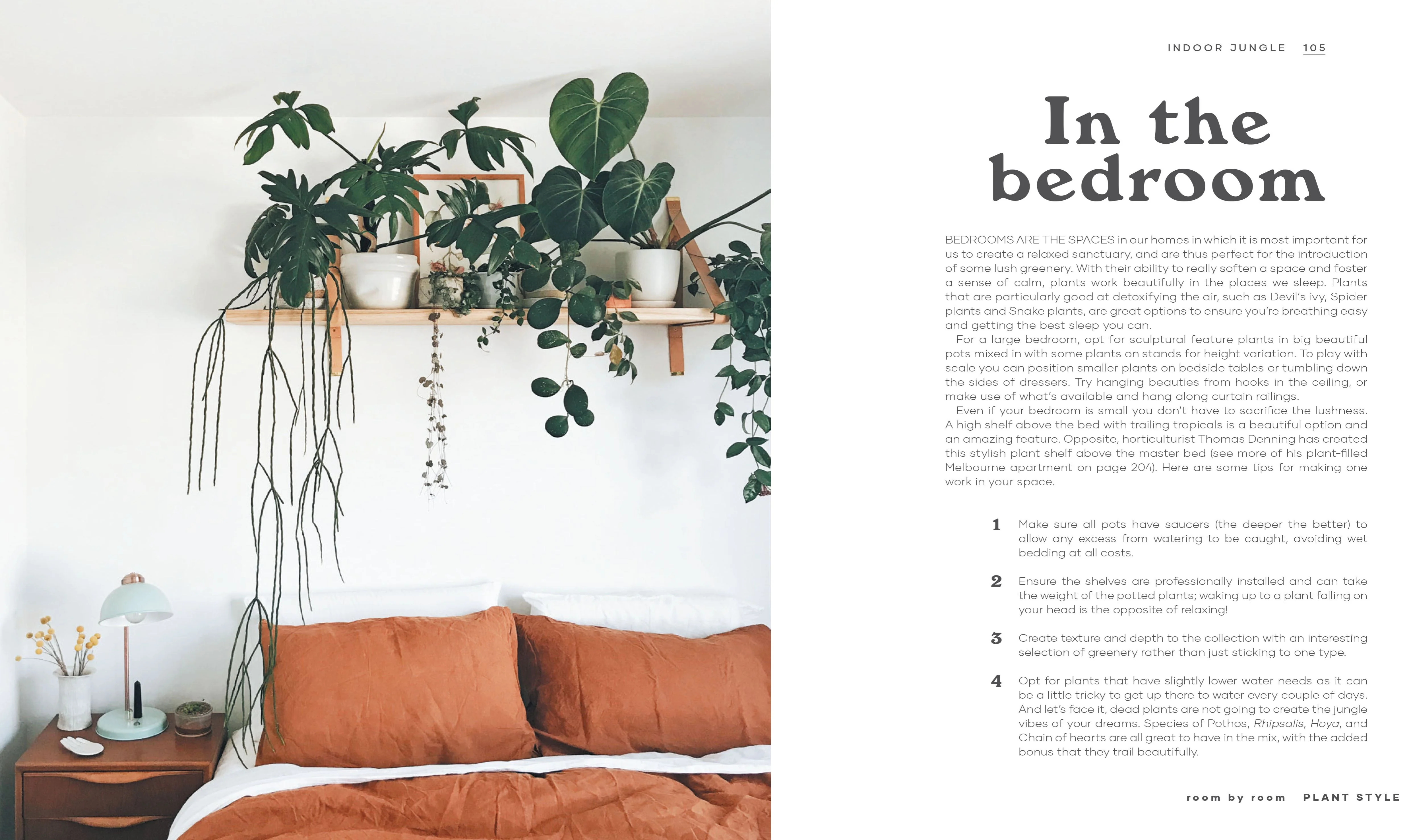 Book - Indoor Jungle - Image 5