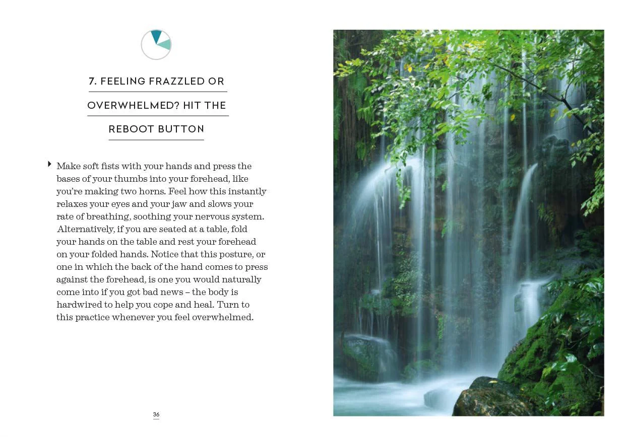 Book - Little Book Of Self Care - Image 4