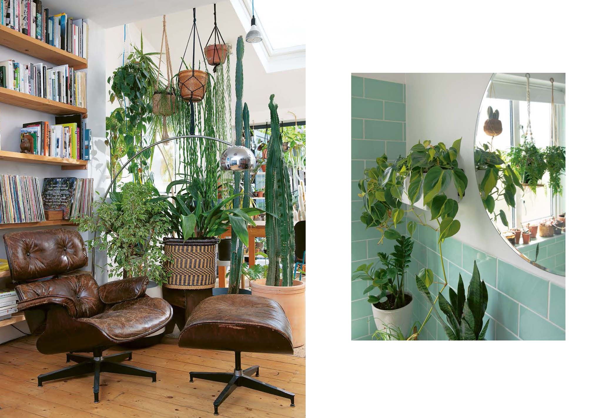 Book - Plant Rescuer - Image 2
