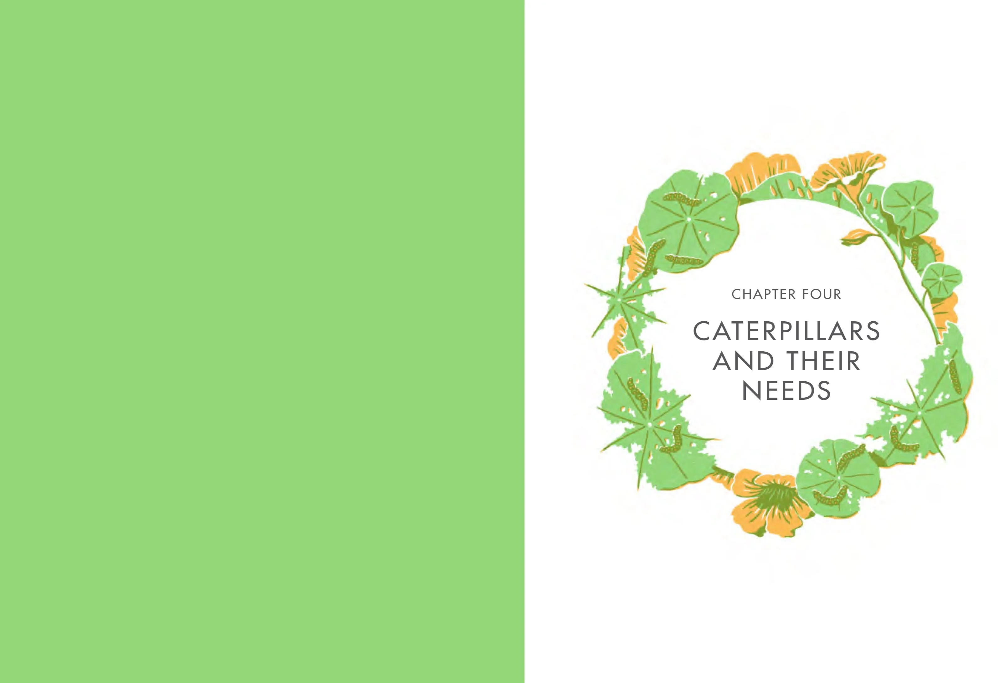 Book - Planting For Butterflies - Image 2
