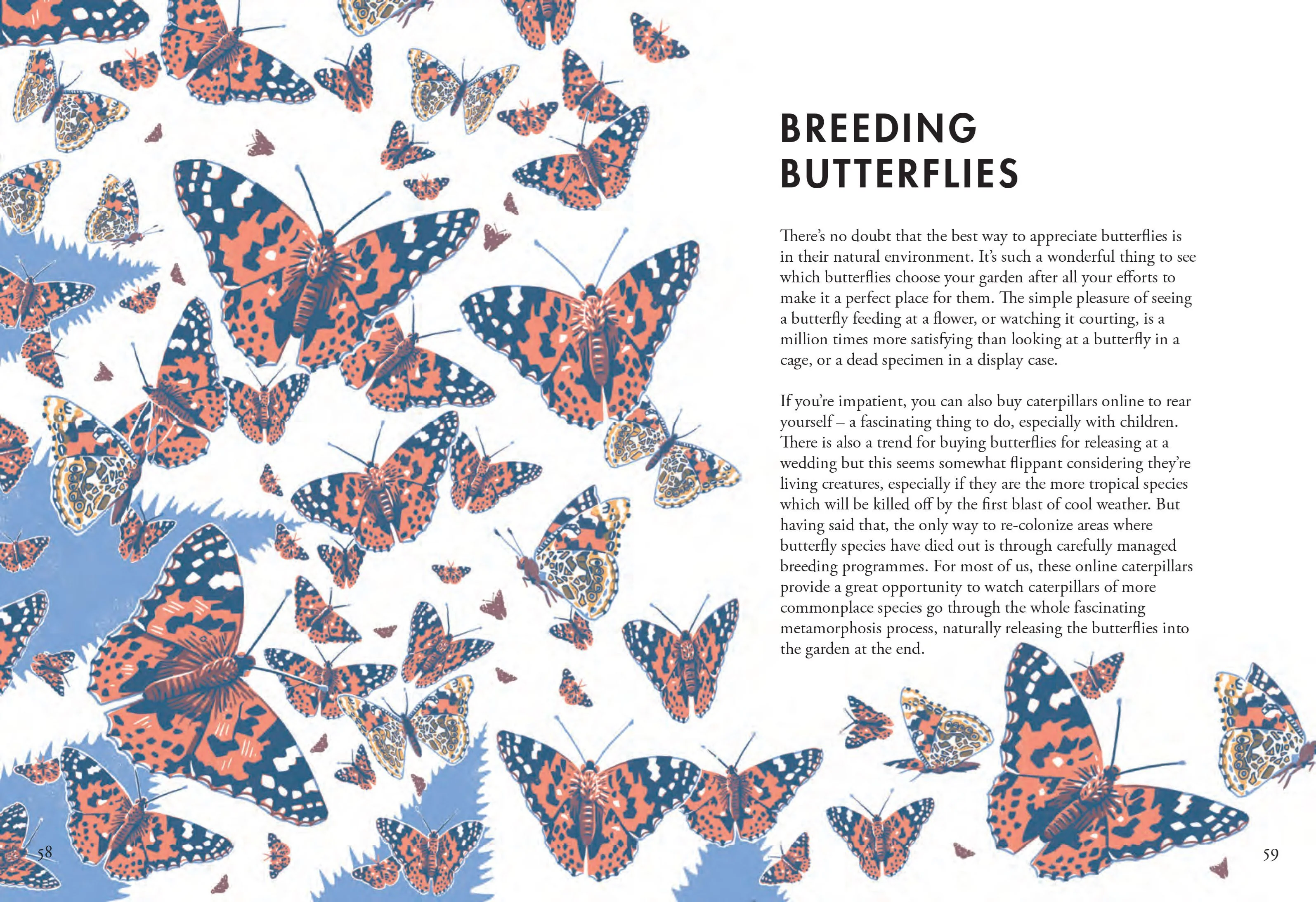 Book - Planting For Butterflies - Image 4