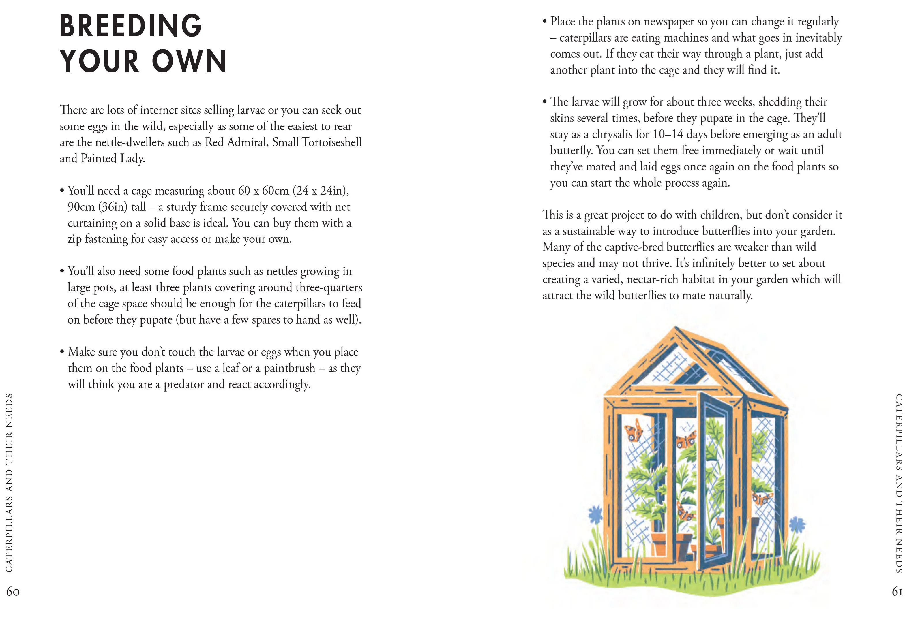 Book - Planting For Butterflies - Image 5