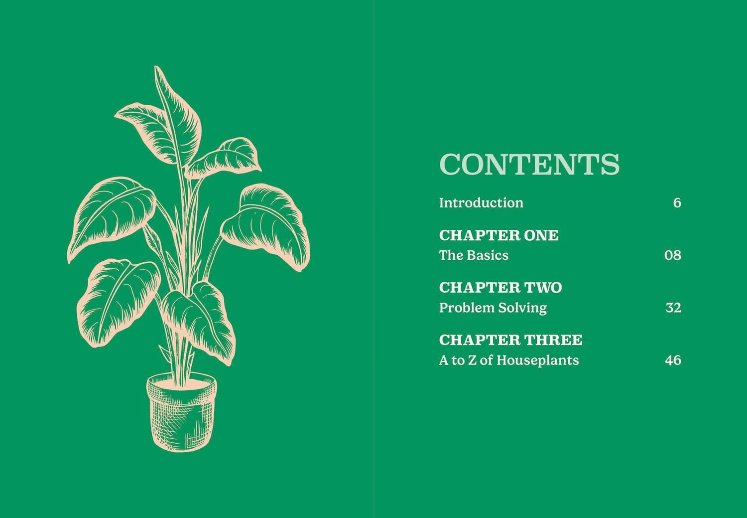 Book - Pocket Houseplants - Image 2