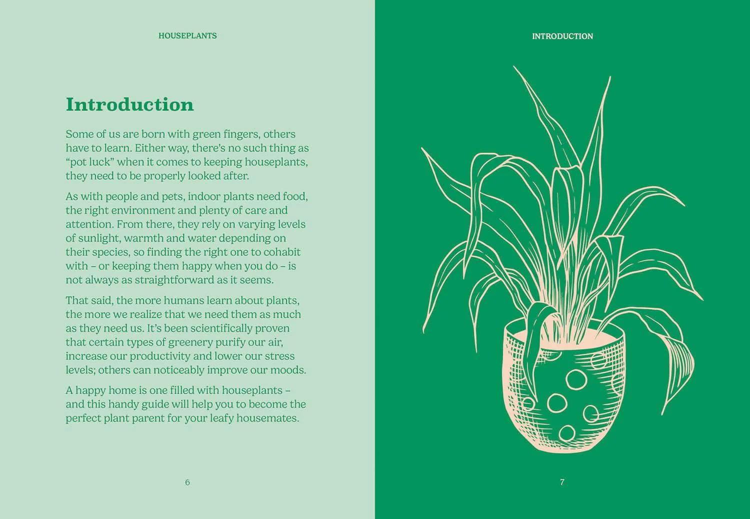Book - Pocket Houseplants - Image 3