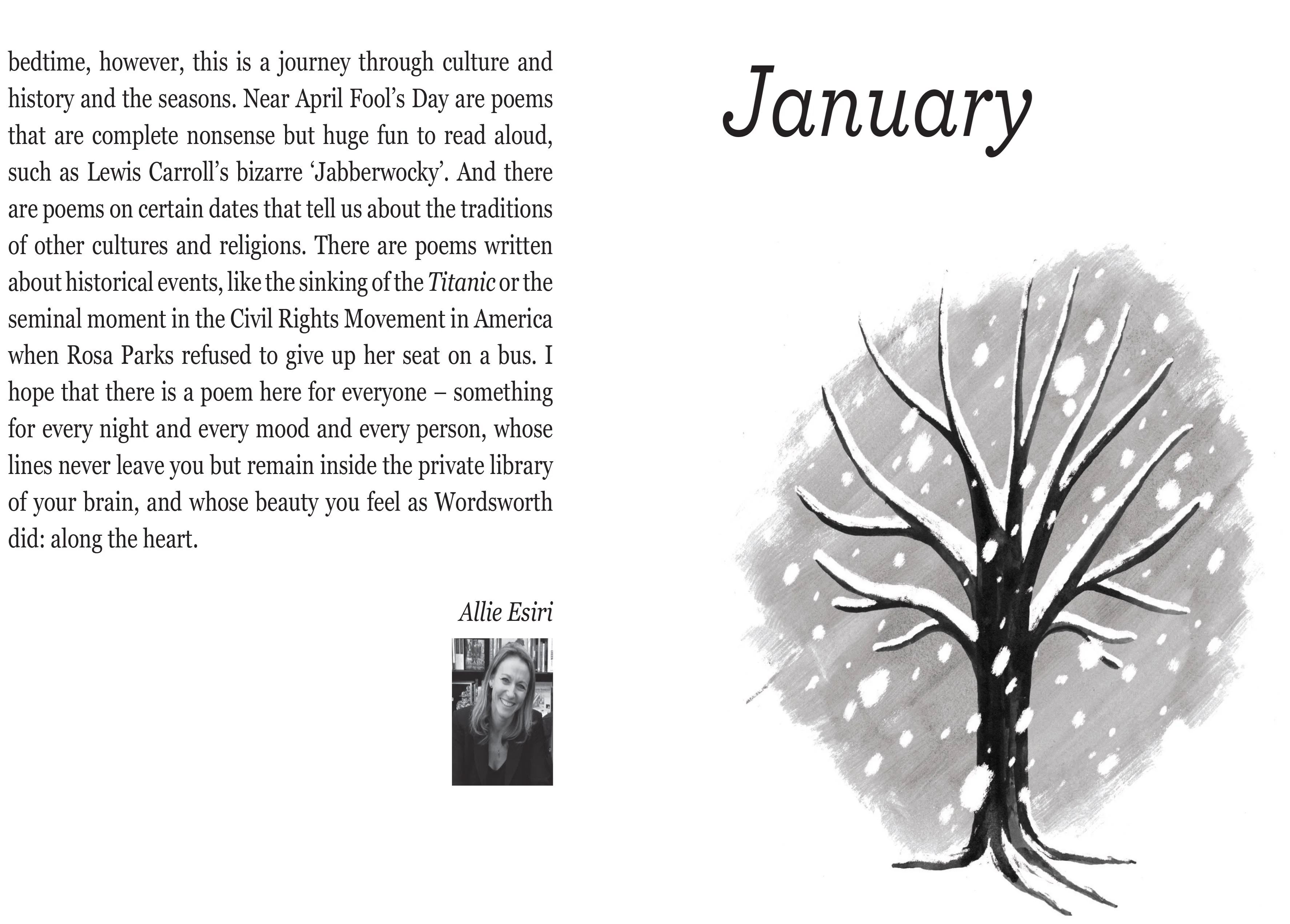 Book - Poems For Every Night Of The Year - Image 3