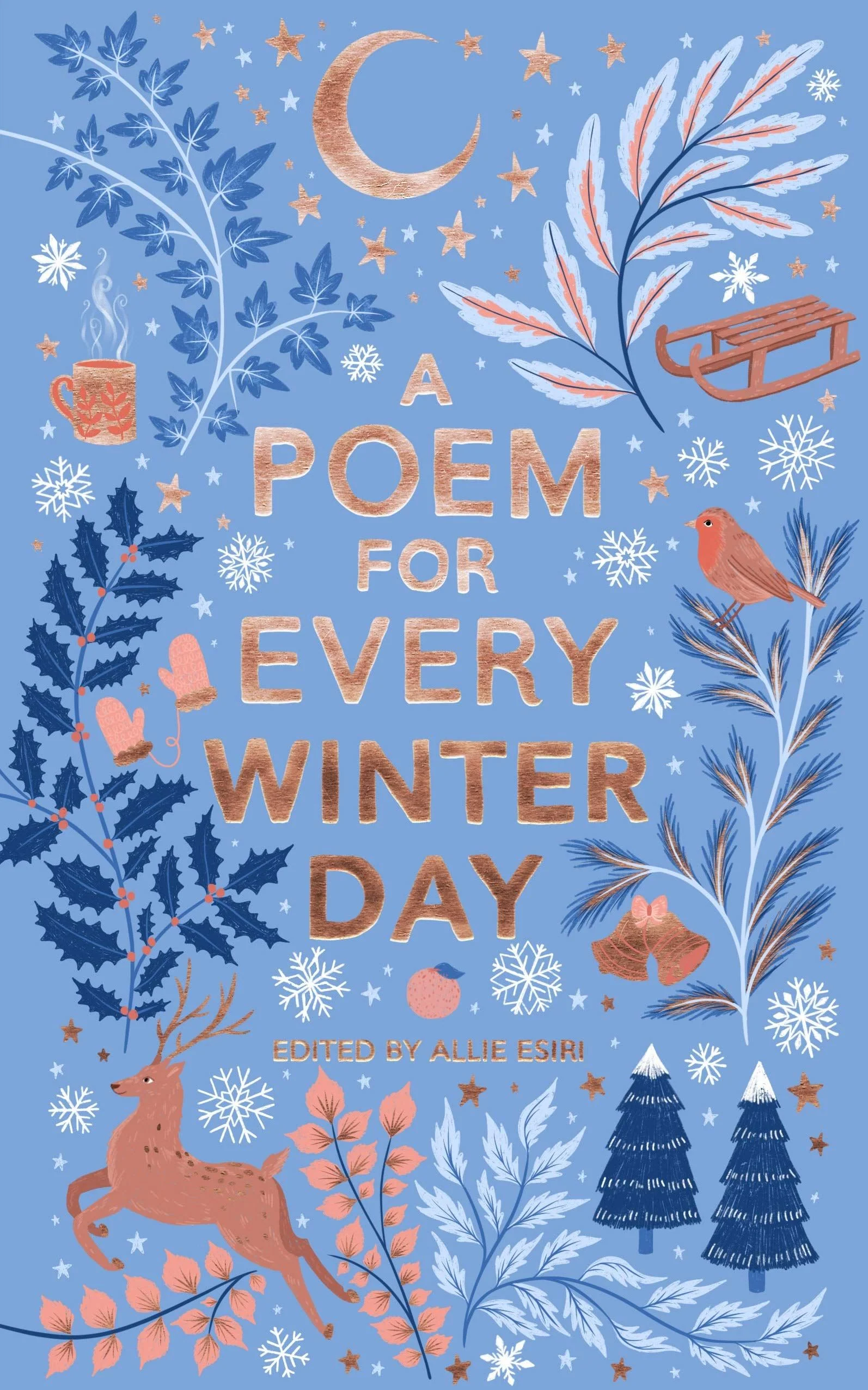 Book - Poems For Every Winter Day