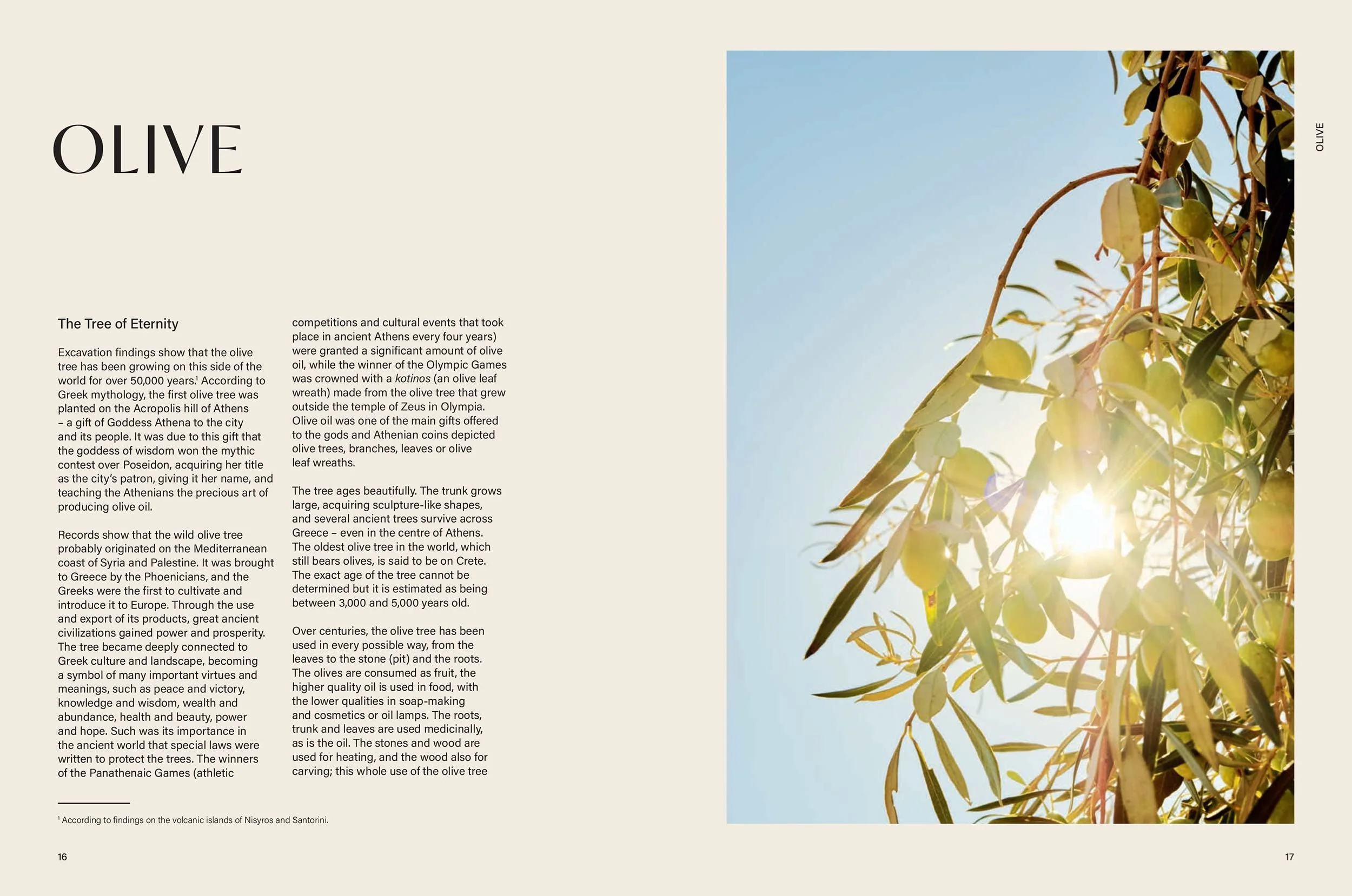 Book - Salt Of The Earth: Secrets And Stories / Greek Kitchen - Image 4