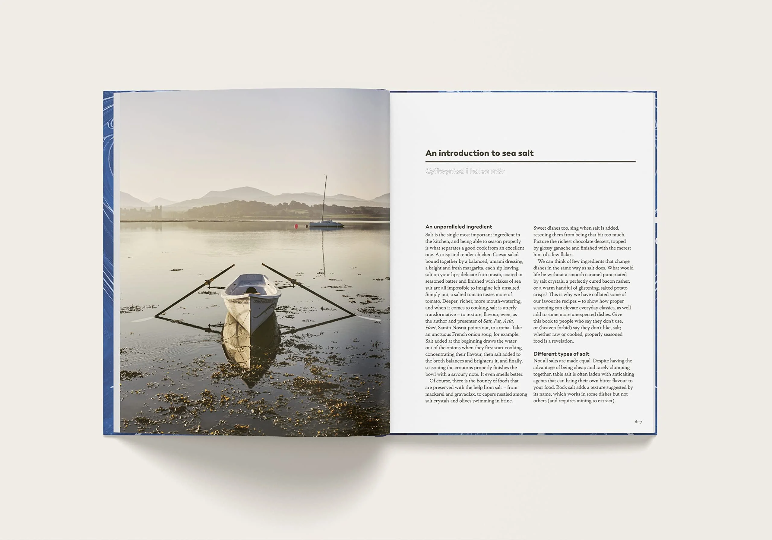 Book - Sea Salt: A Perfectly Seasoned Cookbook - Image 2