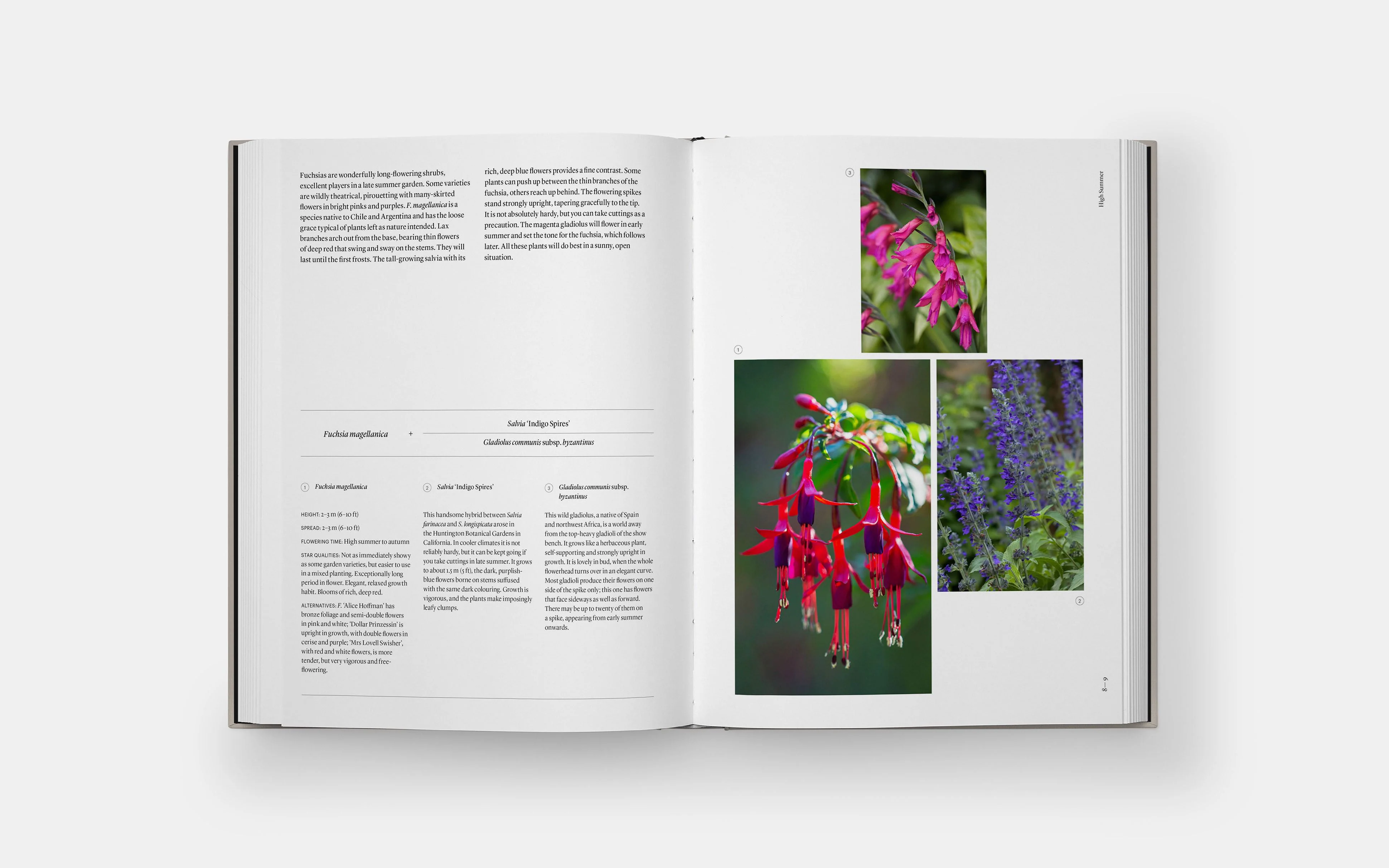 Book - Seasonal Gardener - Image 2
