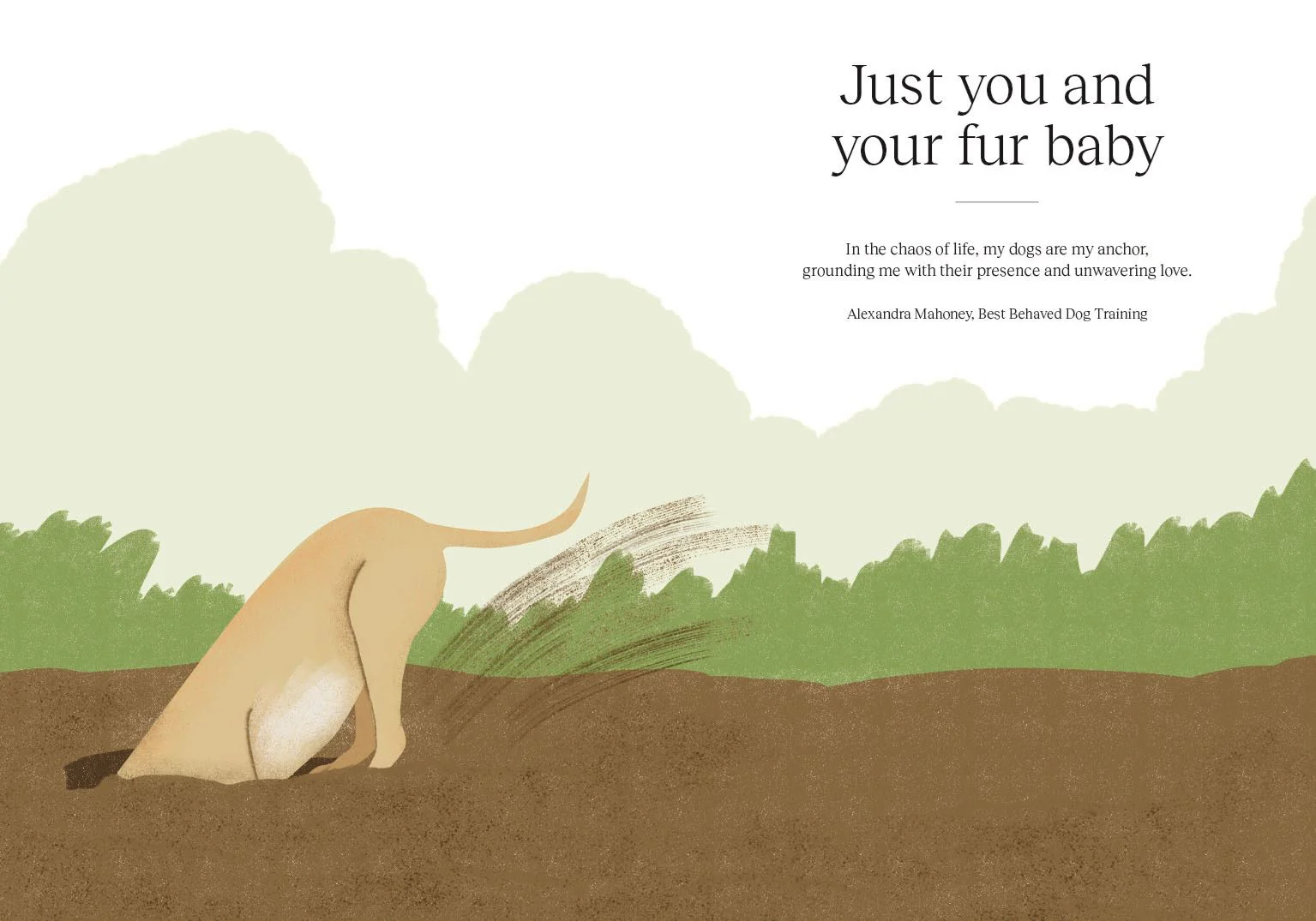 Book - Sit Stay Grow: How Dogs Can Help You Worry Less - Image 4